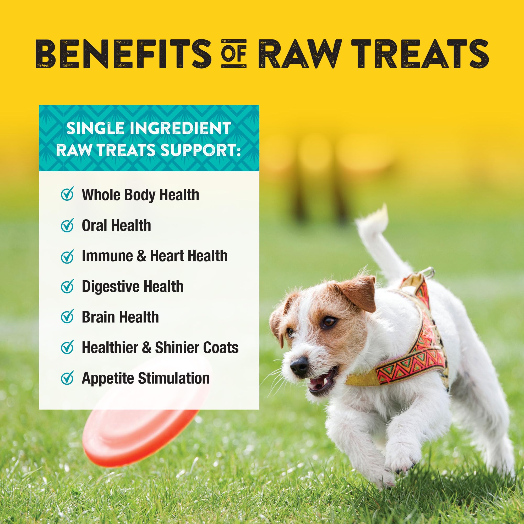 Northwest Naturals Raw Rewards Freeze-Dried Chicken Breast Treats for Dogs and Cats - Bite-Sized Pieces - Healthy, 1 Ingredient,
