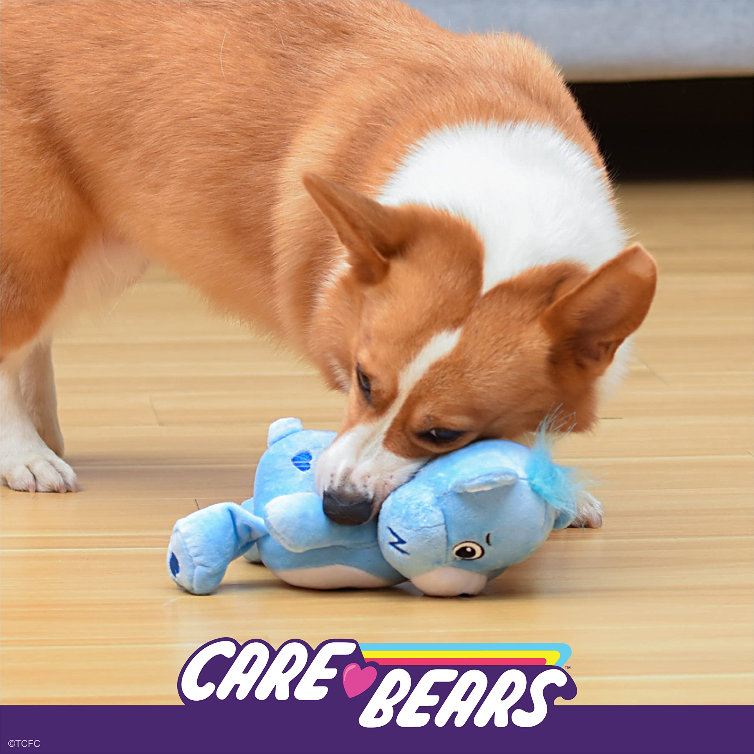 Care Bear for Pets Plush Squeaky Toy - Grumpy Bear, 9 Inch, Blue, Model FF19789, Perfect for Dogs, Crinkle Ears and Squeaker Inside