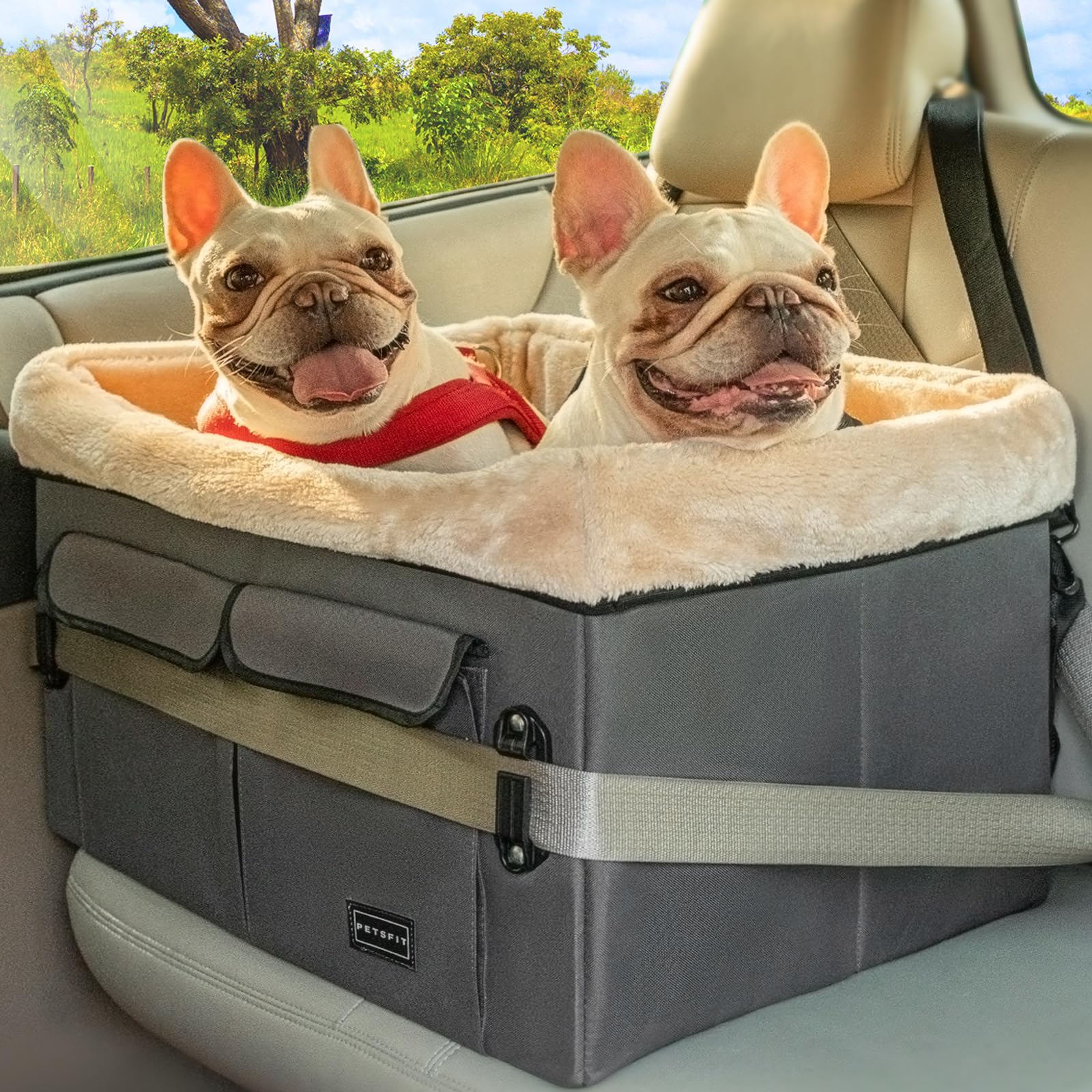 Petsfit Dog Car Seat For Medium Dogs Or 2 Small Dogs, Upgraded Dog Booster Seat For Front And Back Seats With 2 Safety Leashes (