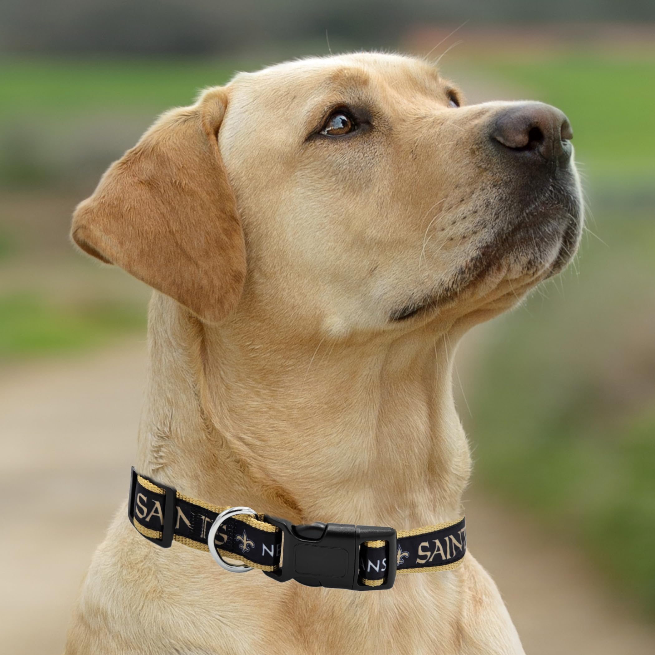 Pets First NFL New Orleans Saints Licensed PET COLLAR, Small - Heavy-Duty, Strong, and Durable Dog Collar. Available in 31 Footb
