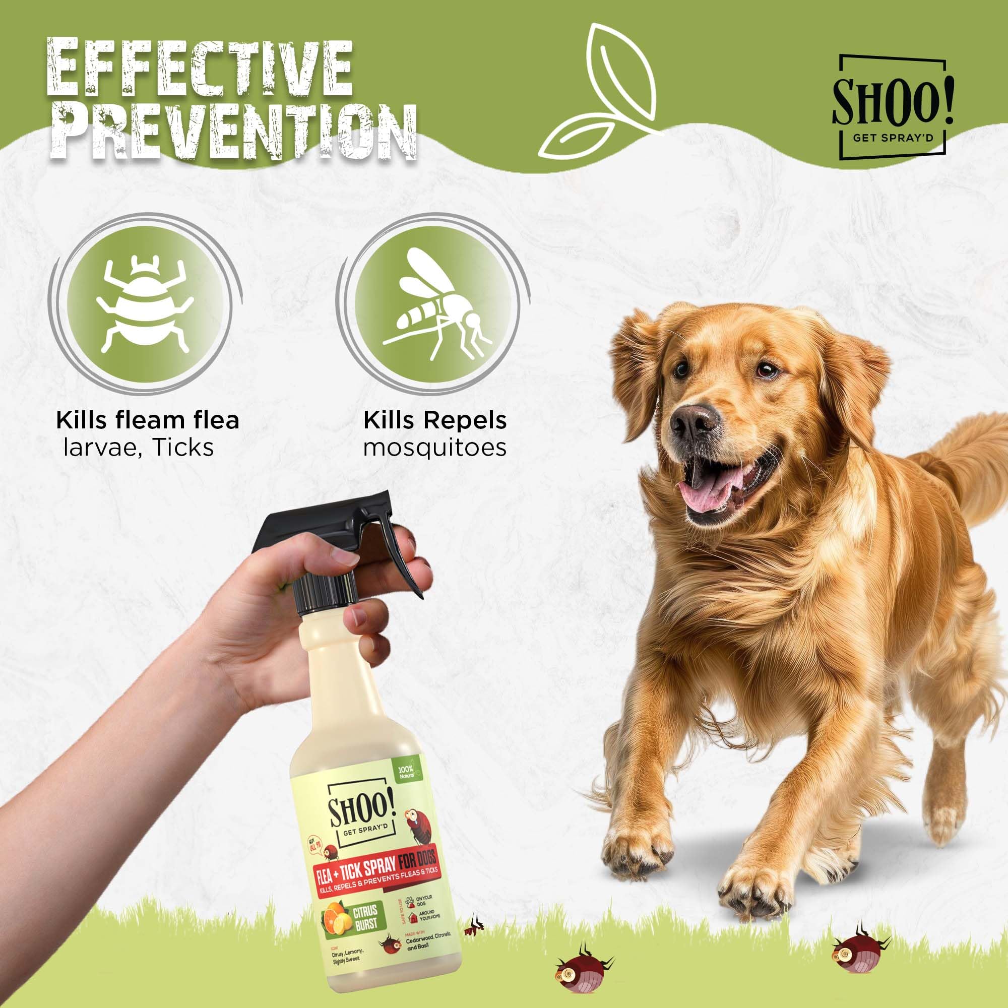 Shoo! Flea & Tick Spray for Dogs and Home | Plant Based, Natural Oils, Chemical Free Formula | Kills, Repels, Prevents | 16 oz (