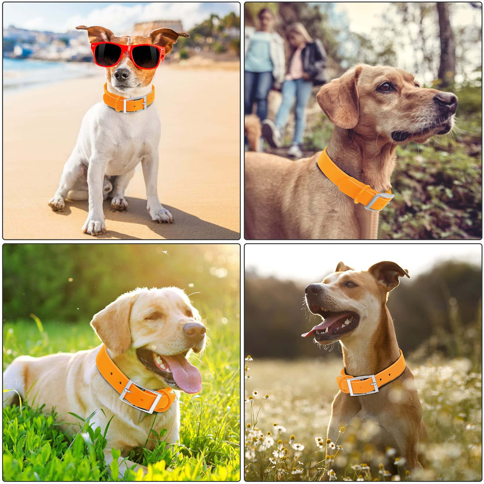 Wisedog Waterproof Dog Collar: Multiple Adjust 8.5” To 32.6”, Soft Rubber Coated Webbing, Easy To Clean, For Small Medium Large Dogs (S(Length:8.5'-12.5'; Width:0.8'), Yellow)