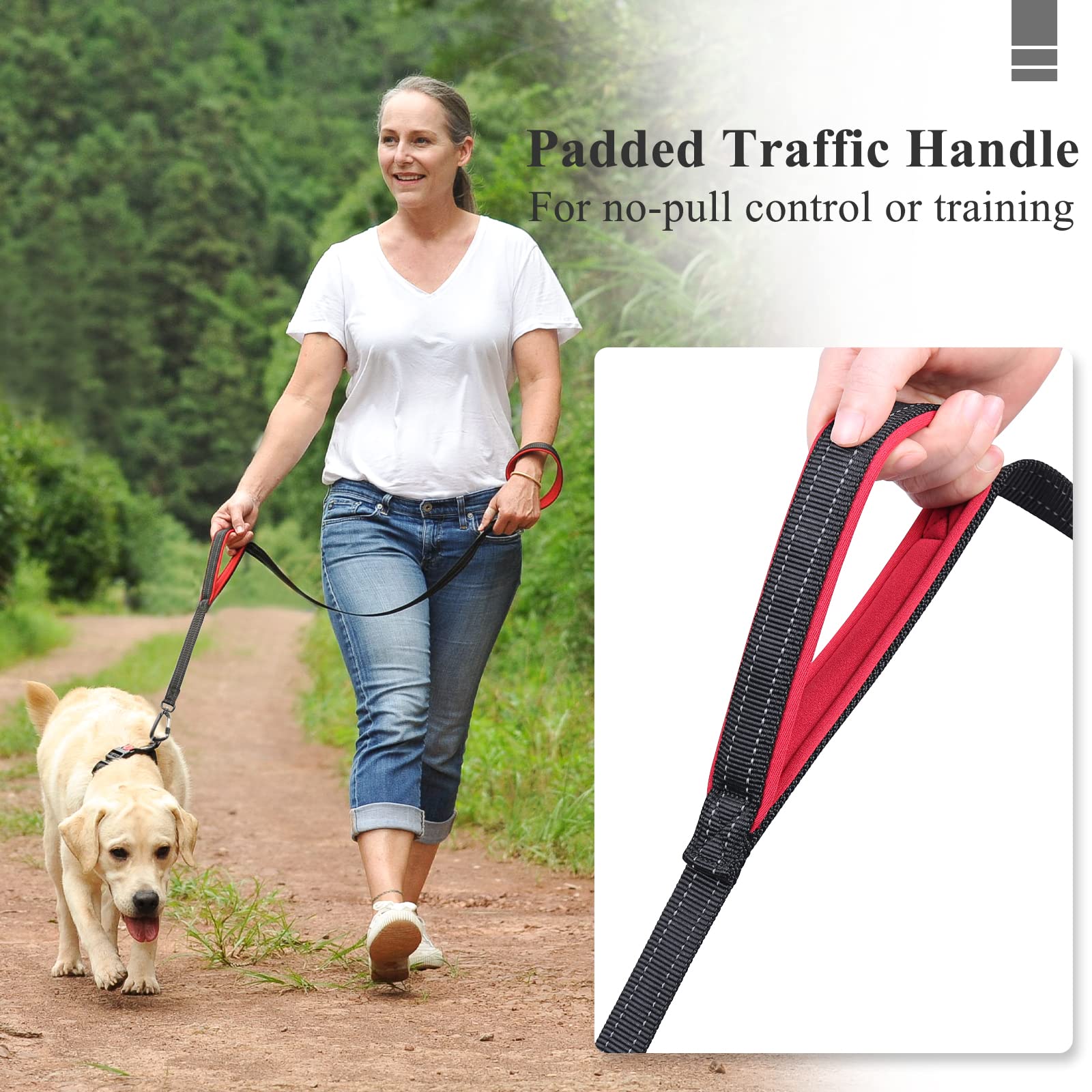 Vivaglory Dog Leash With Lightweight Aluminum Clasp & 2 Padded Handles, 5Ft Nylon Dog Leash Lead Heavy Duty Safety No Pull Climb