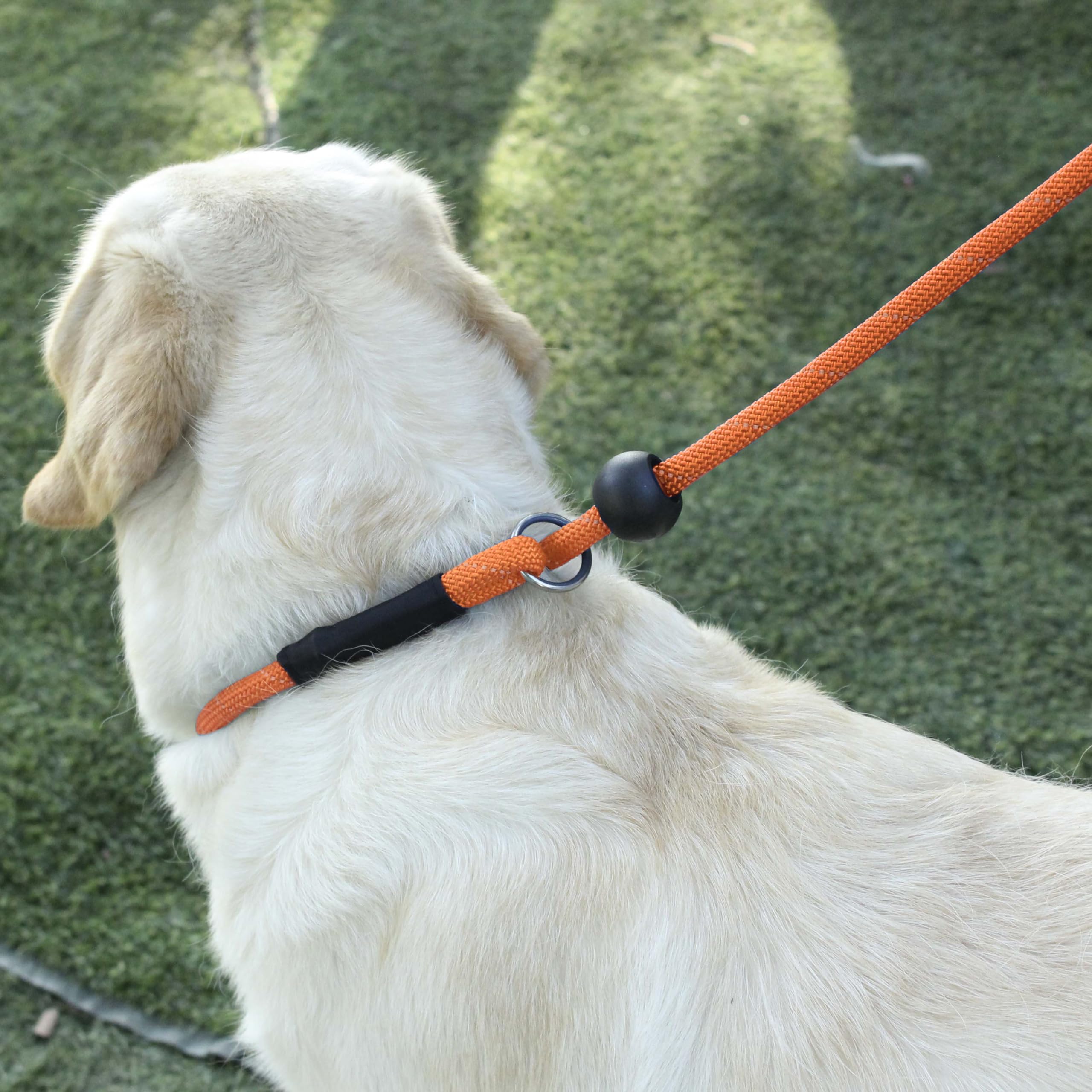 Hiado Slip Lead Dog Leash Reflective With Stopper Loop Rope Training No Pull For Small Medium Large Dogs 4Ft Orange