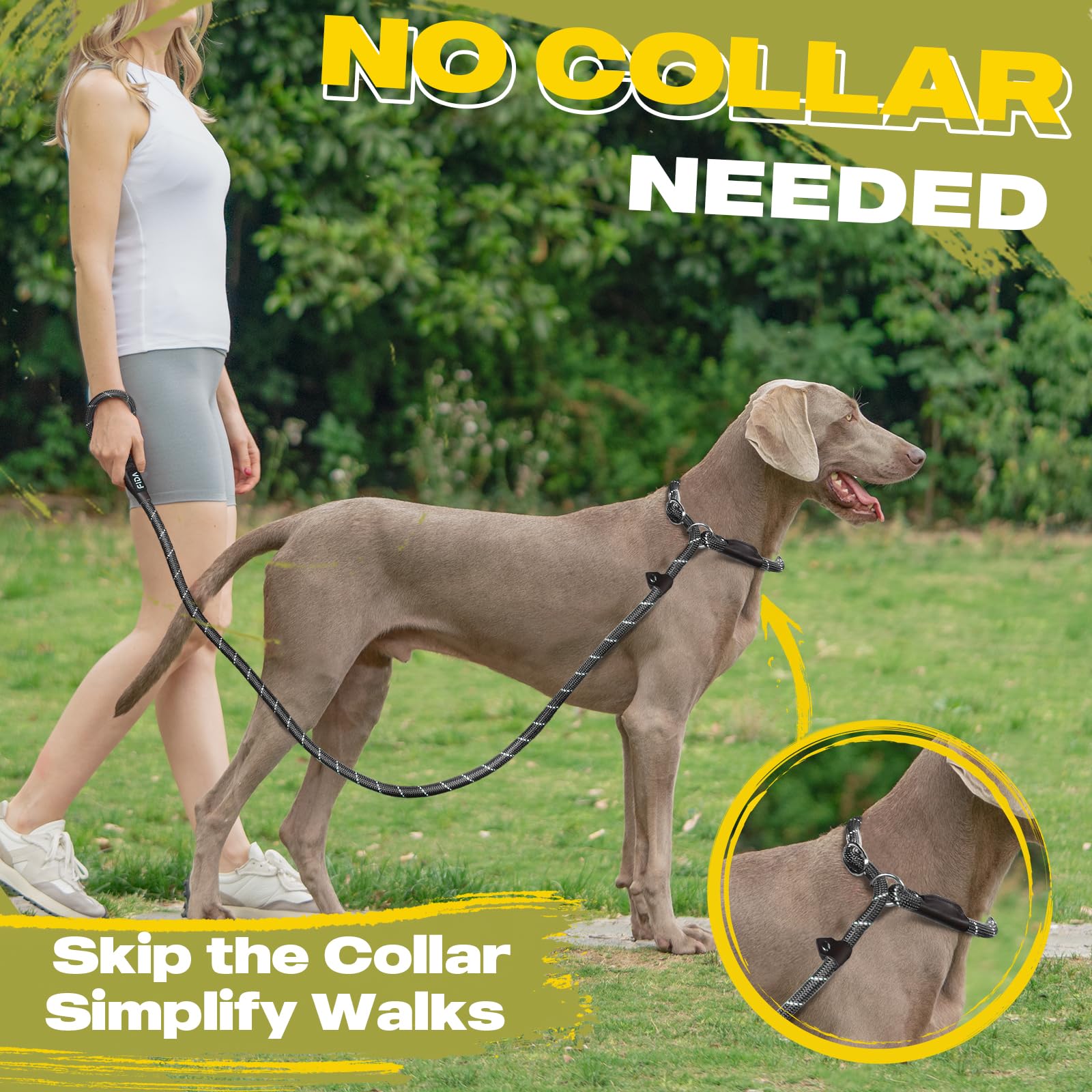 Fida Durable Slip Lead Dog Leash Bulk Pack Of 5, Heavy Duty 1/2' X 6 Ft Comfortable Strong Rope Slip Leash For Large, Medium & Small Dogs No Pulling Pet Training Leash With Highly Reflective (Black)