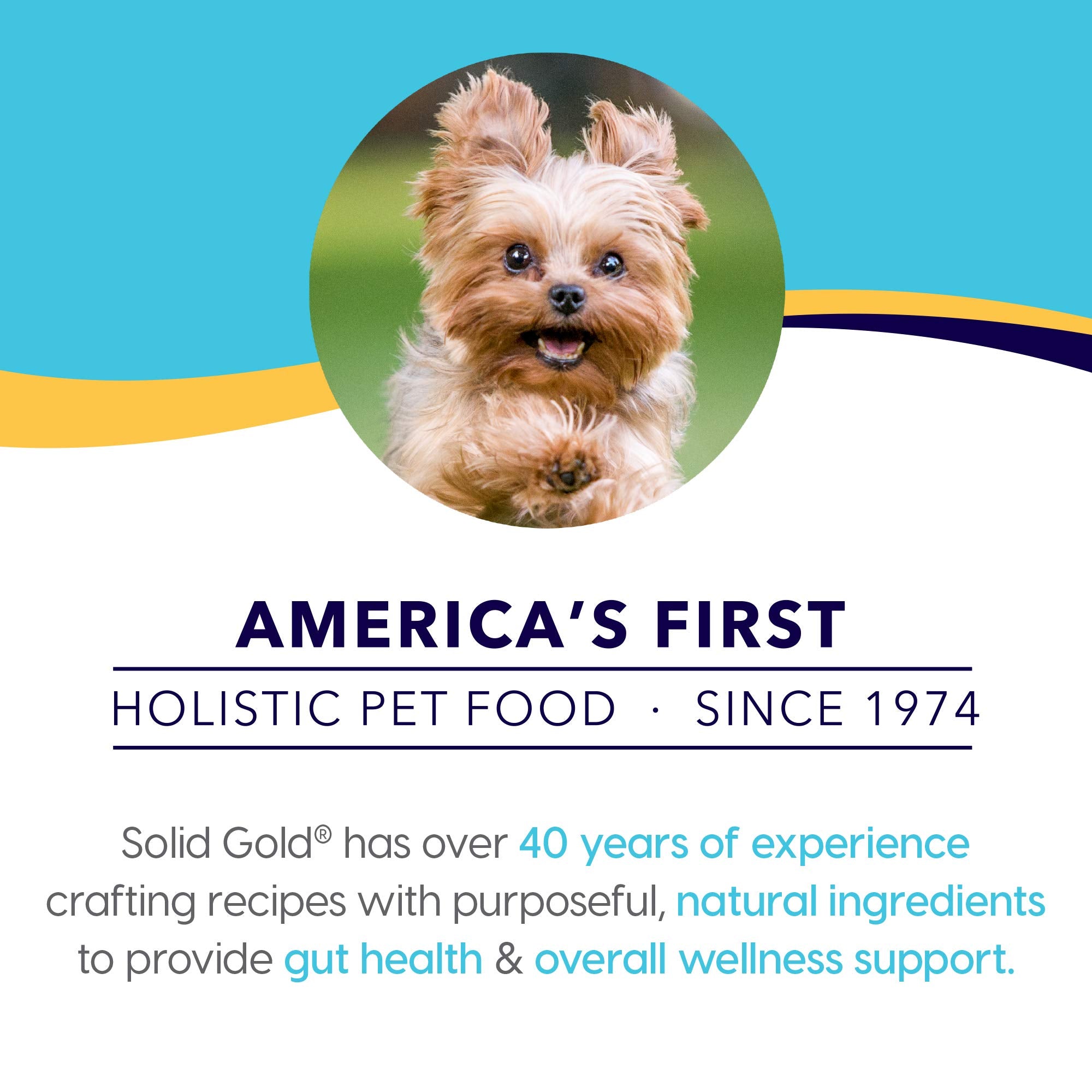 Solid Gold Lil Boss Wet Dog Food, Turkey and Hearty Vegetable Recipe, Puppy & Adult Dogs of All Activity Levels, Toy and Small,