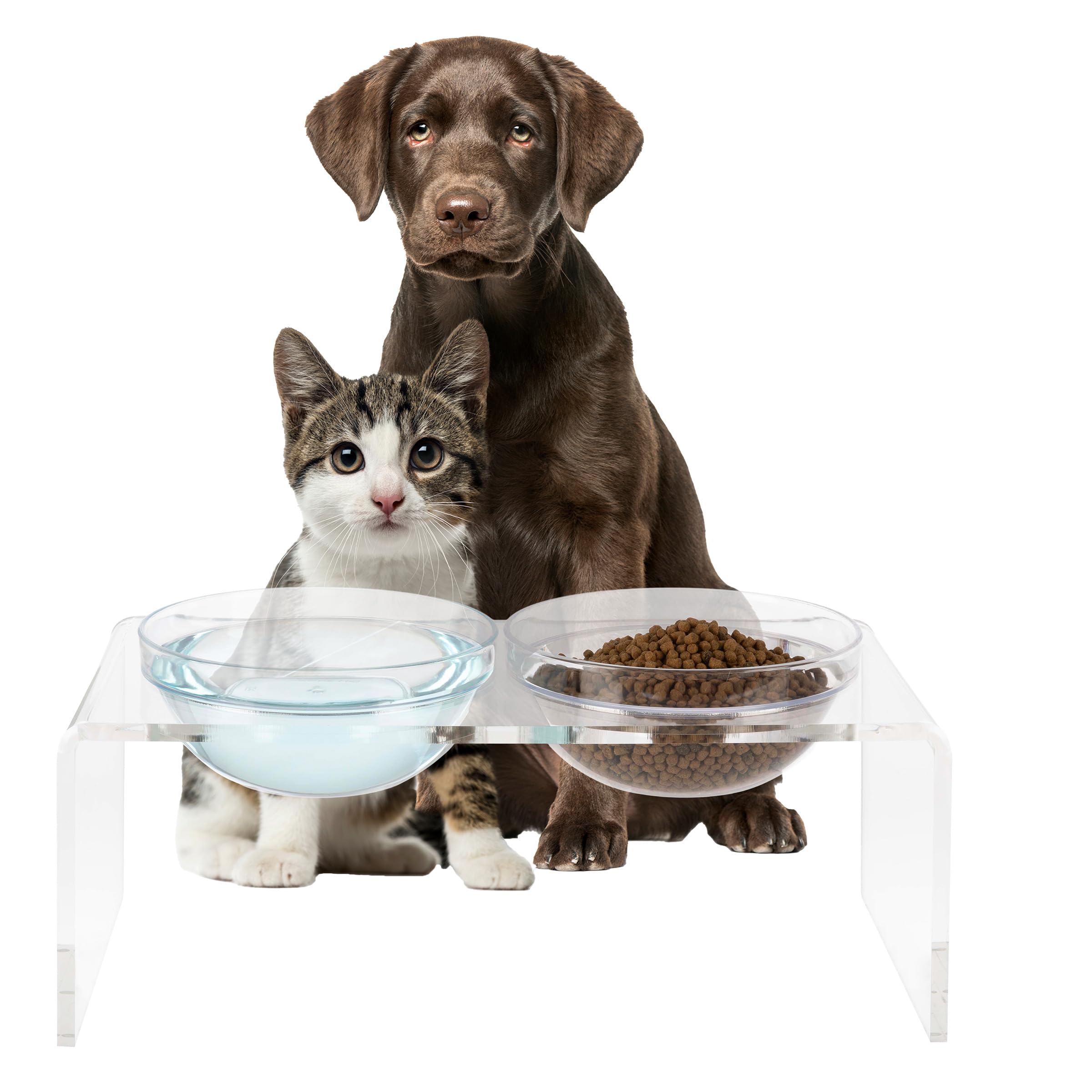 Elevated Dog and Cat Bowls Set - 7.1-Inch Tall Acrylic Dog Bowl Stand with 2 Removable Stainless Steel Bowls and 2 Plastic Bowls