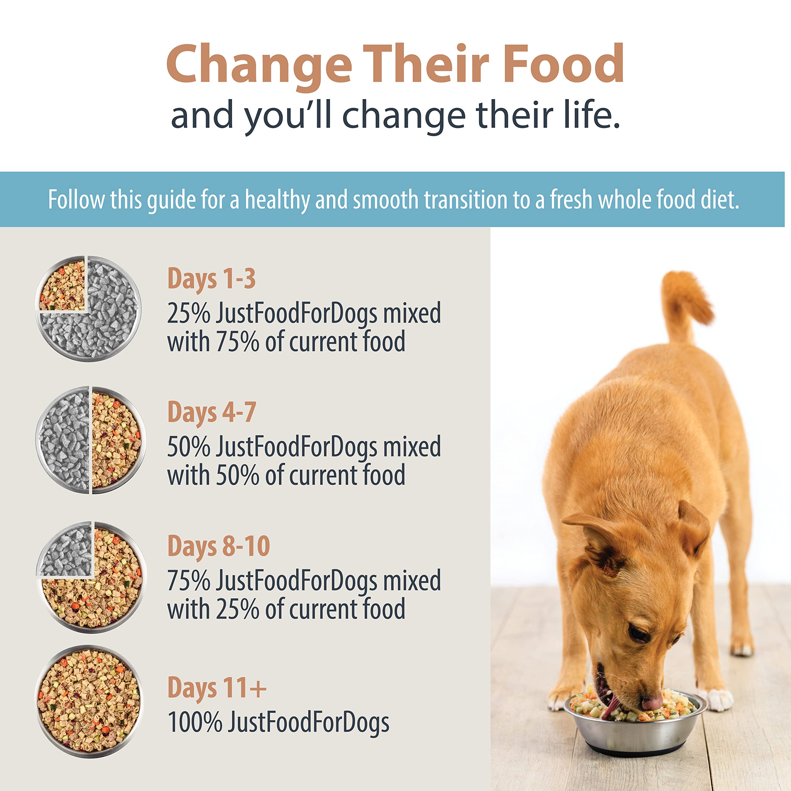 JustFoodForDogs Pantry Fresh Wet Dog Food Complete Meal or Dog Food Topper, Turkey & Whole Wheat Macaroni Human Grade Dog Food R