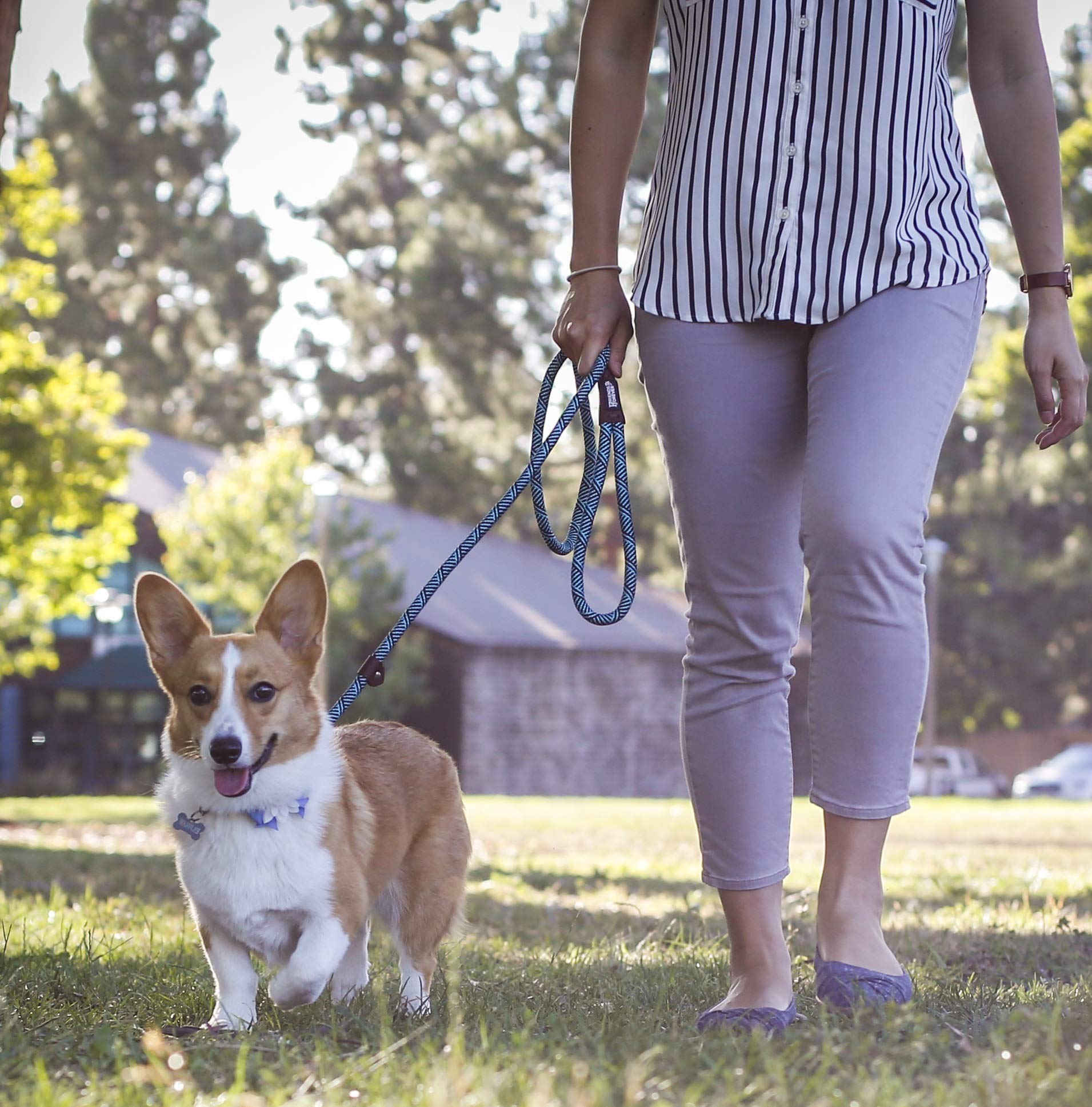 Friends Forever Dog Rope Leash - Durable Reflective Slip Lead, 6ft Nylon, Blue, Heavy Duty for Large & Medium Pets