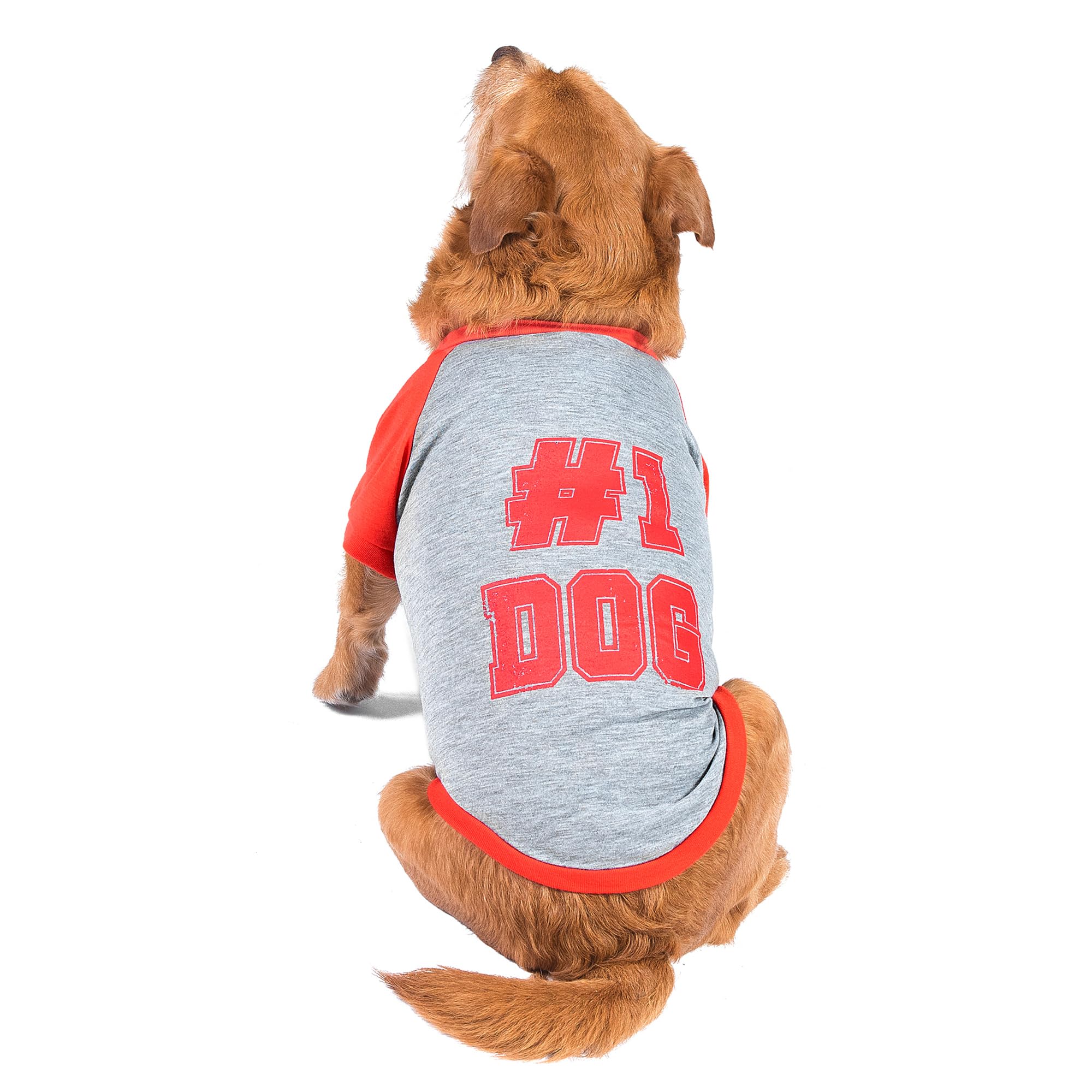 The Dodo #1 Dog T-Shirt for Dogs, Size Extra Small; Black Dodo Print, Everyday Apparel for Dogs, Cute Dog Tee, Cute Clothes for 