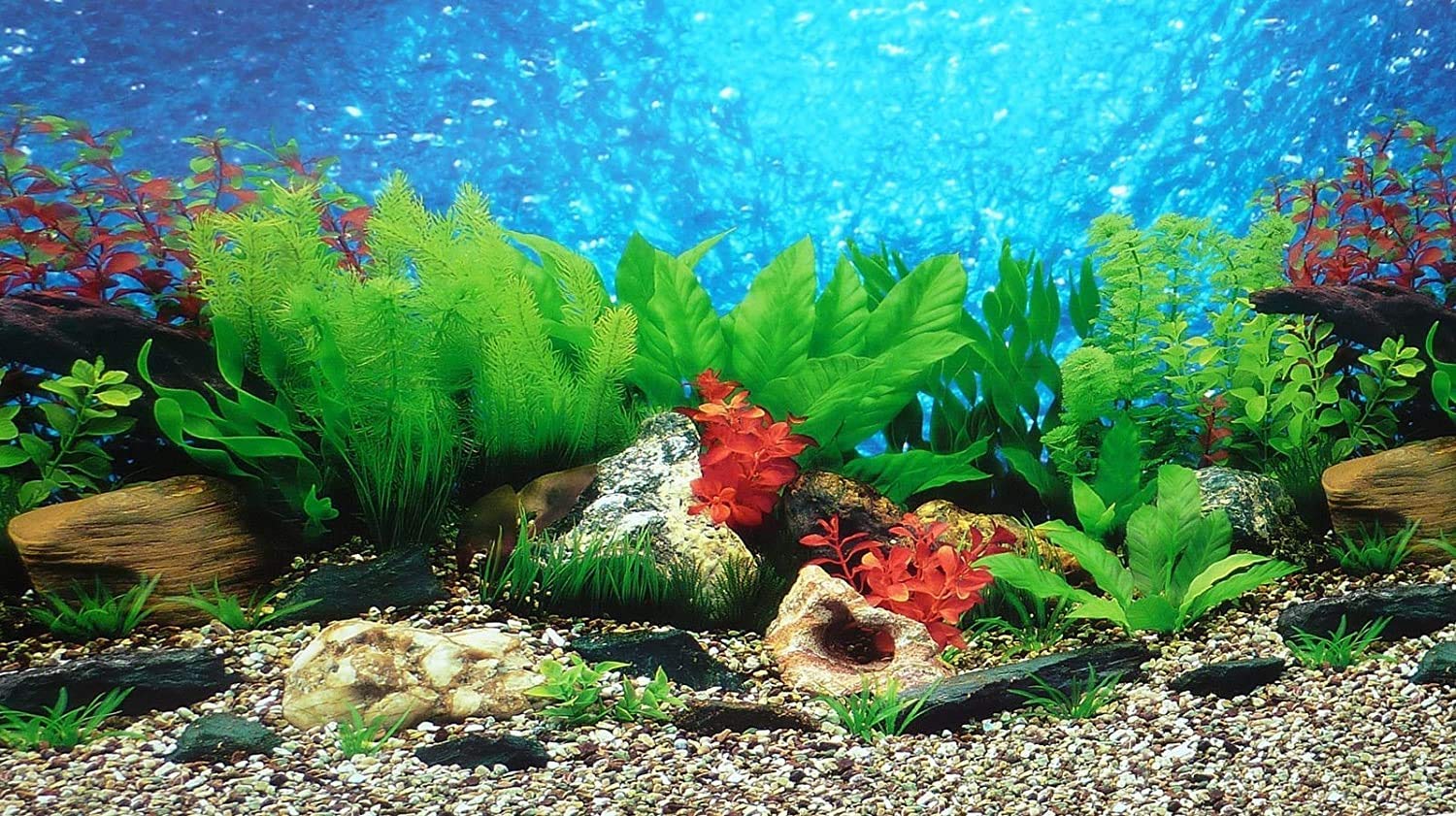 Elebox New 15.7'' X 40'' Fish Tank Background 2 Sided River Bed & Lake Background Aquarium