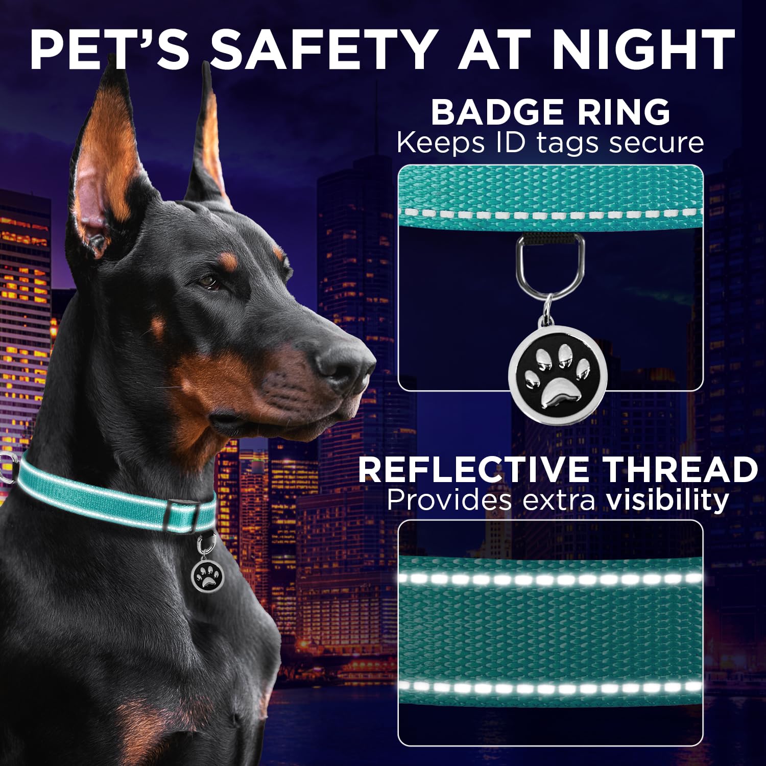 Teceum Reflective Dog Collar - Aquamarine - M - Extra Soft Padding - Basic Nylon Pet Collar - Quick Release Buckle - Fits Small,