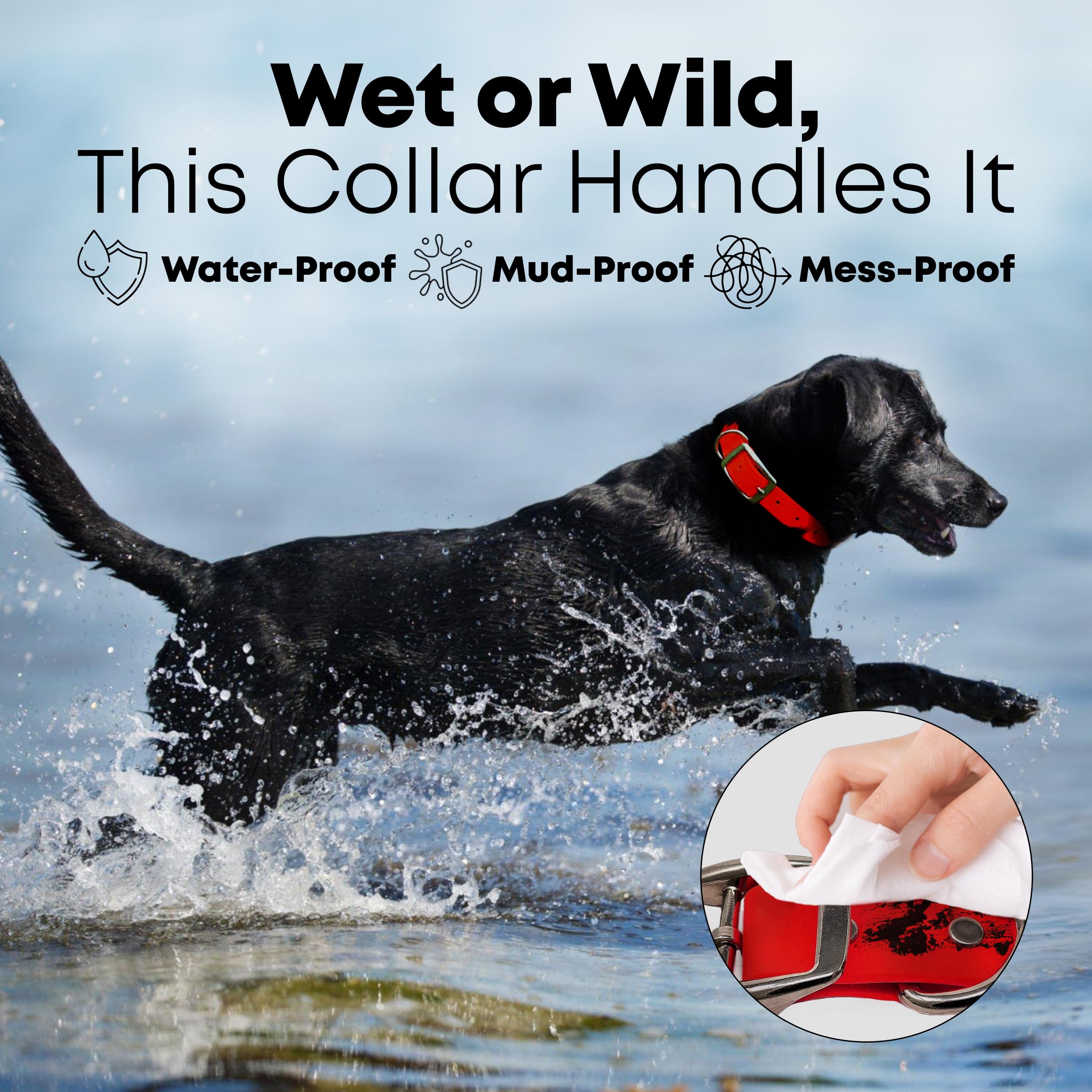 Regal Dog Products Small Red Waterproof Dog Collar And Leash Set - Vinyl Coated, Biothane Puppy Pet Training Collar With Heavy D