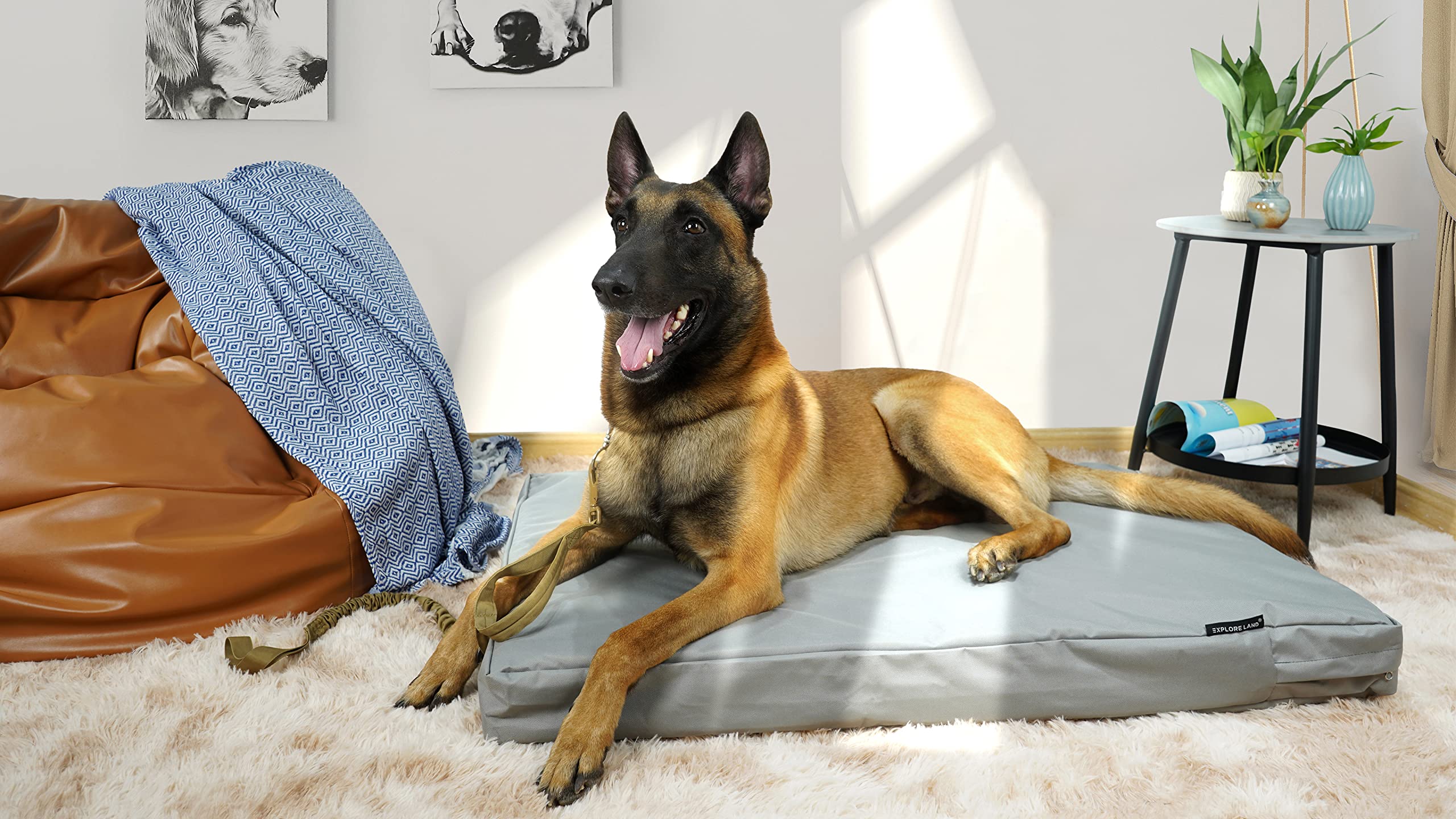 Explore Land Waterproof Dog Bed Cover Canvas Washable Dog Crate Pad Replacement Cover, 48Lx36Wx4H Inch, Gray