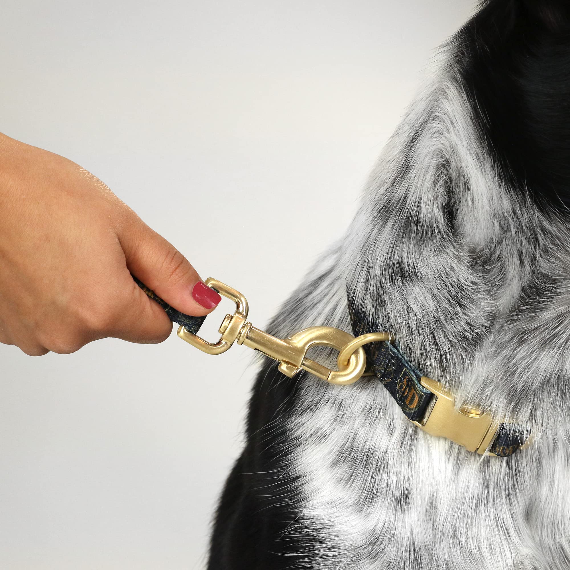 Snoop Doggie Doggs Deluxe Pet Leash, Classic Snoop, 60' X 1 Inch
