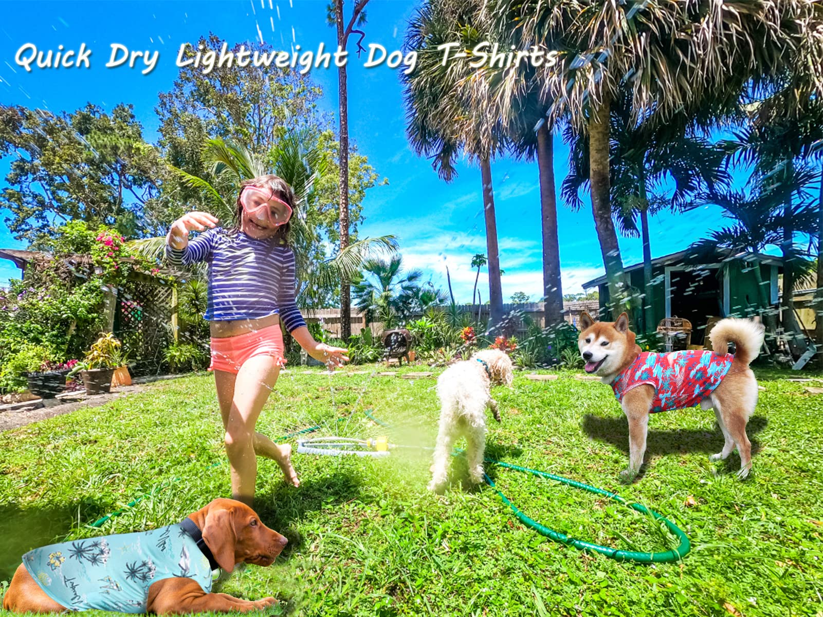 Y-Blue Dog Summer Cooling Shirts,Sun Protection Quick Dry Mesh Breathable Large Uv Protection Tee-Shirt,Red+Blue L