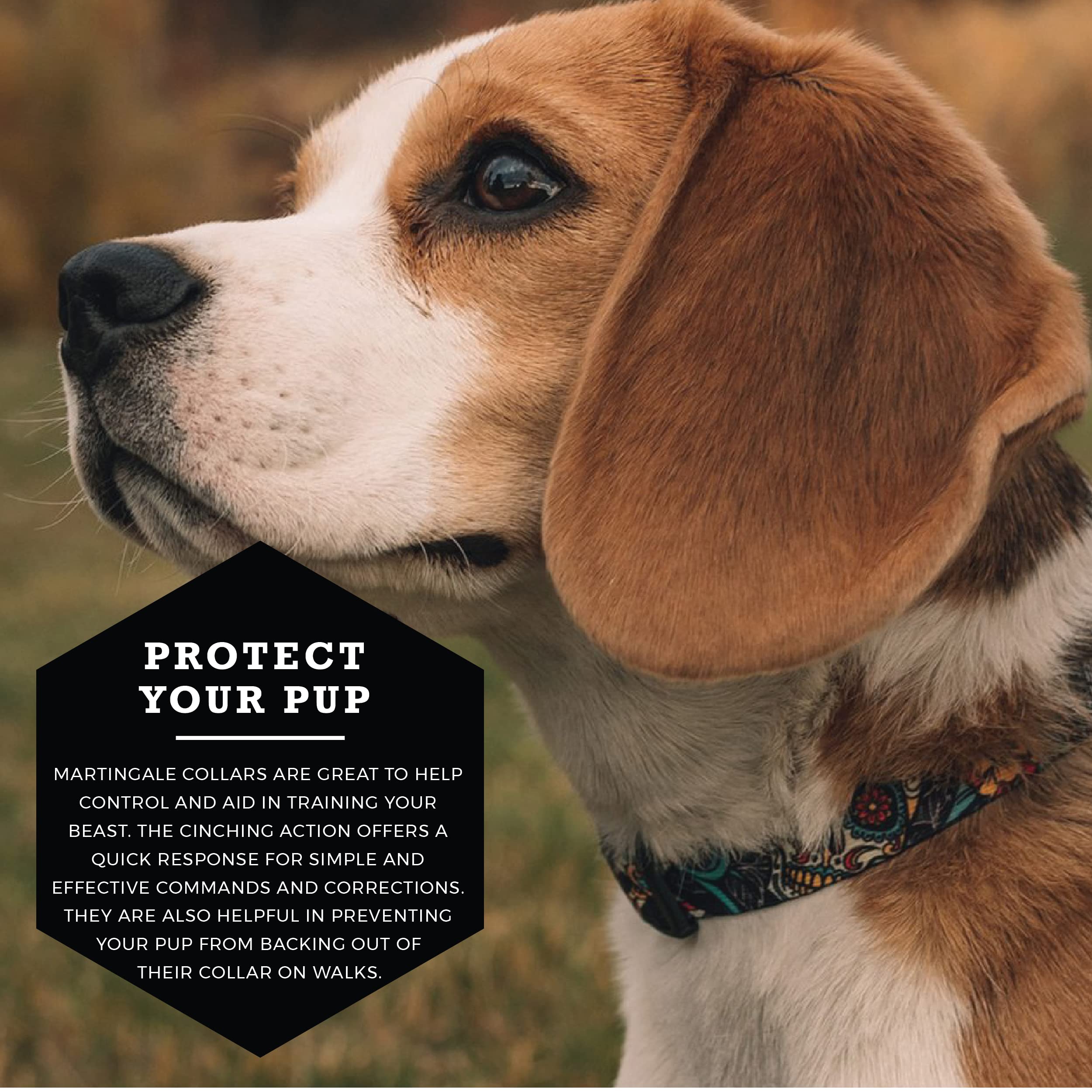 Wolfgang Heavy Duty Martingale Dog Collar With Quick Release Nylon Buckle For Walking & Training, Losmuertos Print, Small
