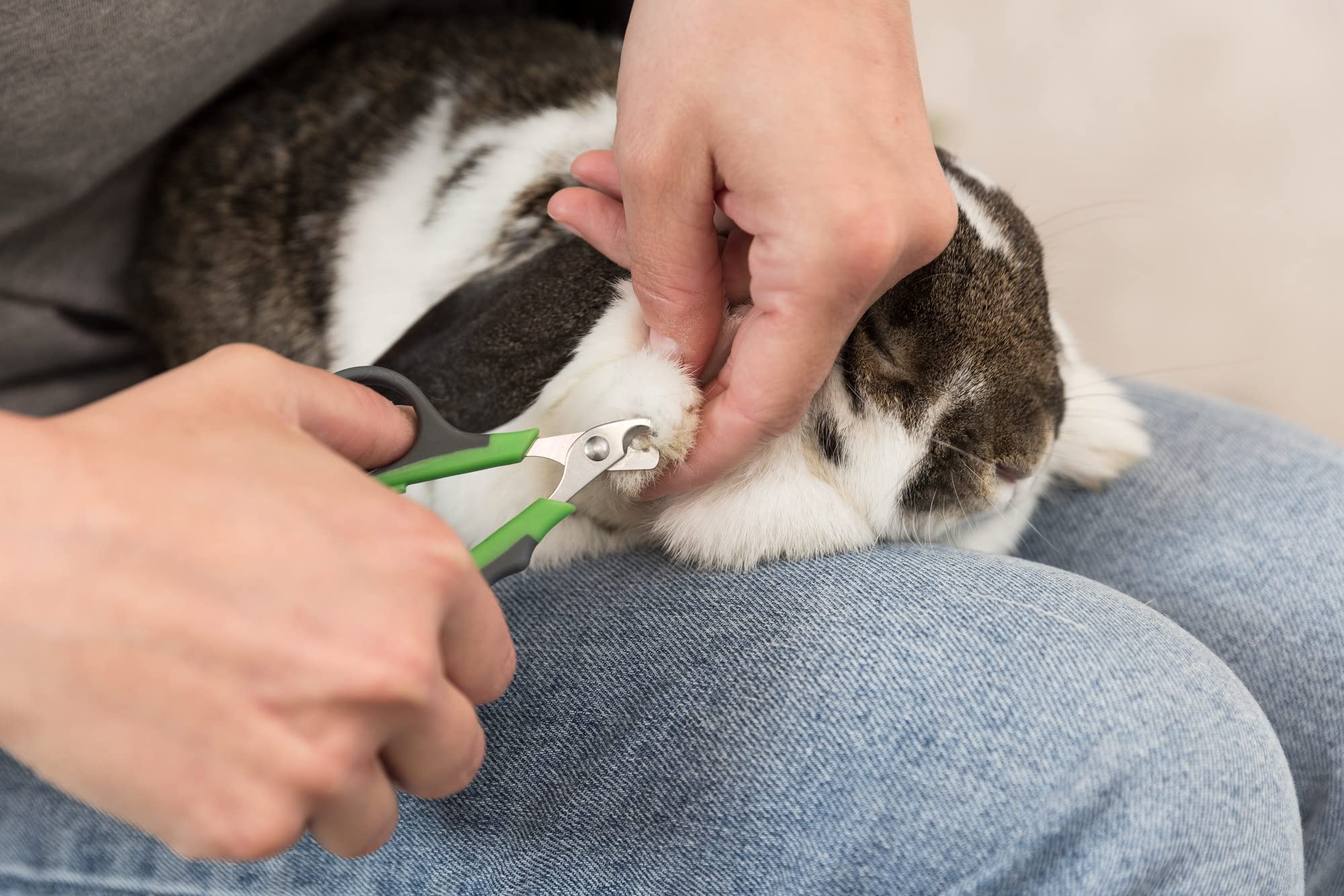 Trixie Pet Grooming Nail Clippers, For Small Dogs, Cats, Small Animals, And Birds, 3' (8Cm)
