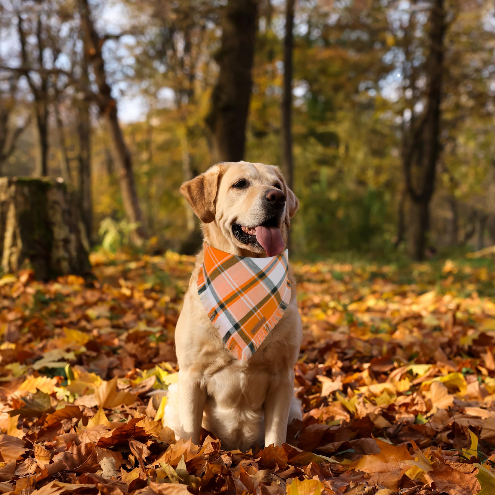 Adoggygo Fall Dog Bandanas, Halloween Thanksgiving Dog Bandana, Orange Plaid Dog Scarf, Multiple Sizes Offered, Fall Holiday Bandanas For Large And Extra Large Dogs Pets (Fall, X-Large)