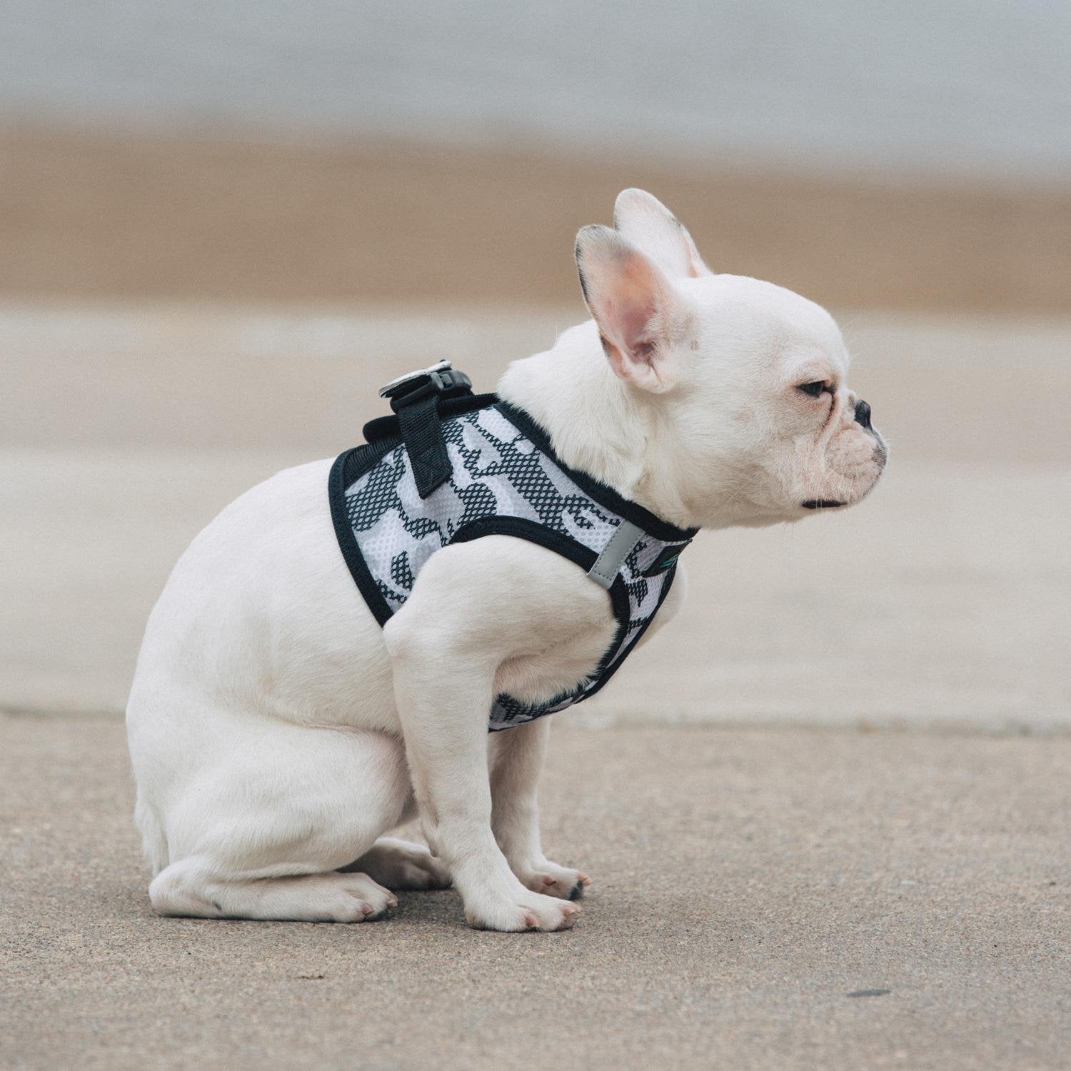 Doggie Design American River Dog Harness Camouflage Collection - Gray Camo Xs