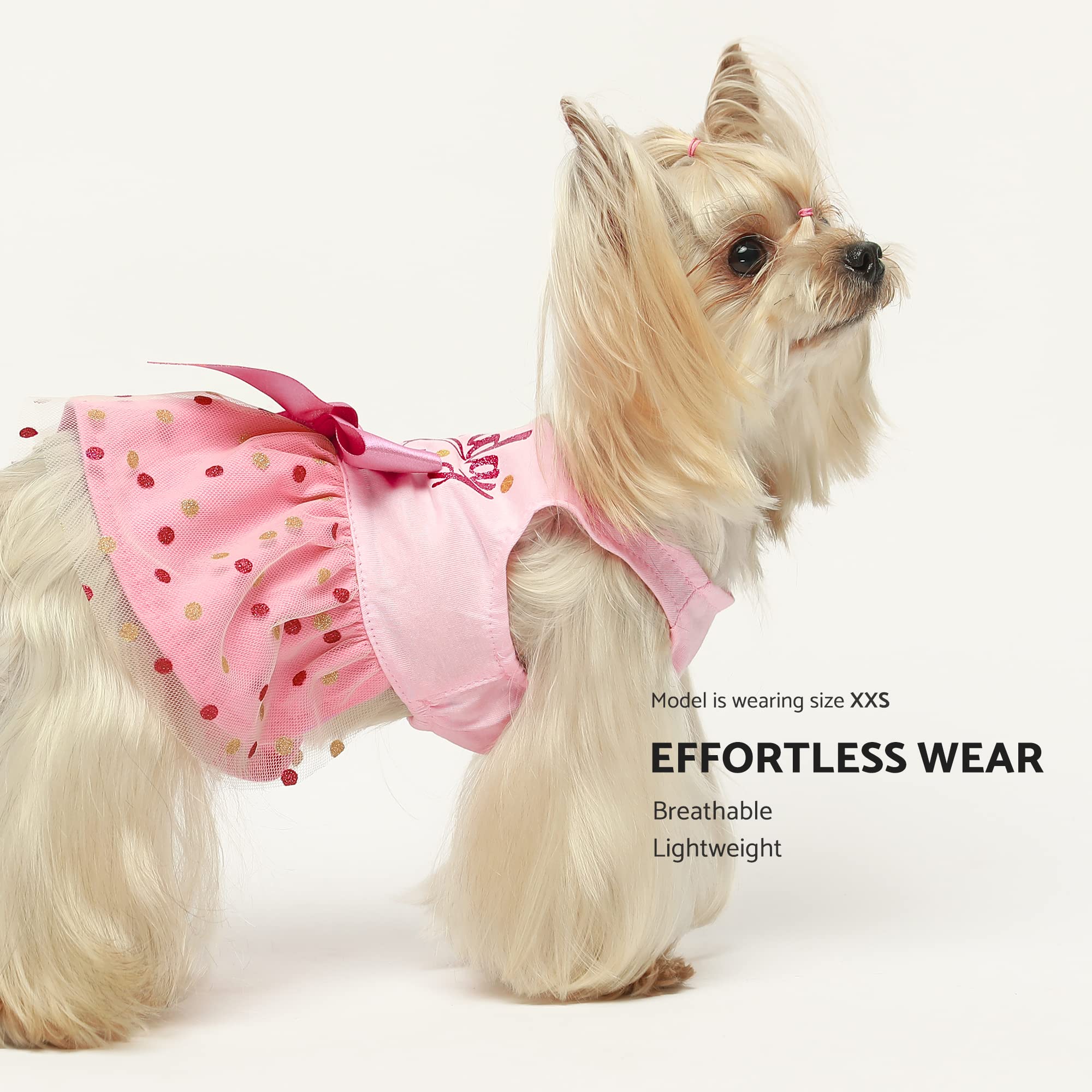 Fitwarm Birthday Girl Dog Tulle Dress, Dog Clothes For Small Dogs Girl, Cat Apparel, Pink, Small