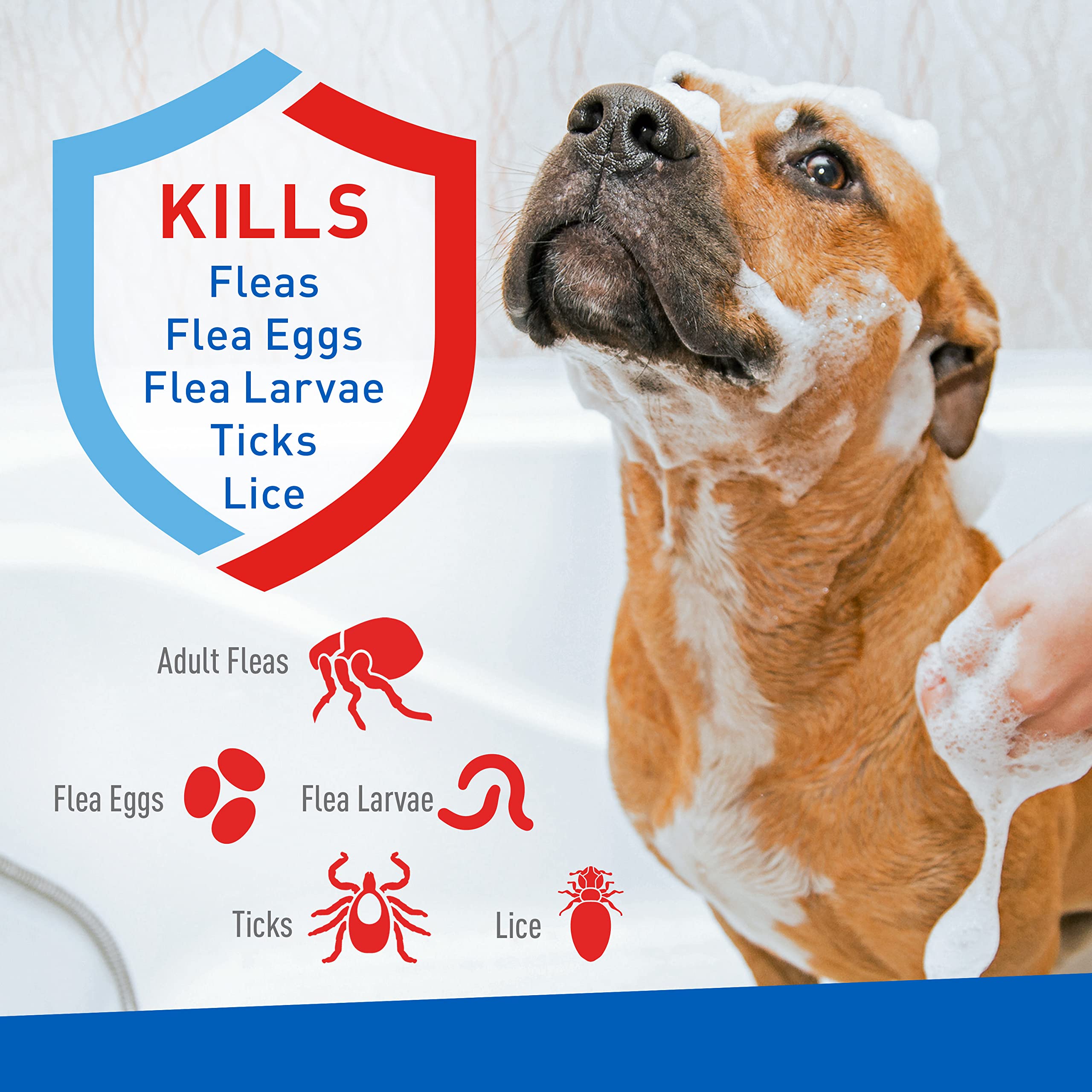 Adams Plus Flea & Tick Foaming Shampoo & Wash for Dogs & Puppies Over 12 Weeks | Sensitive Skin Flea Treatment for Dogs and Pupp