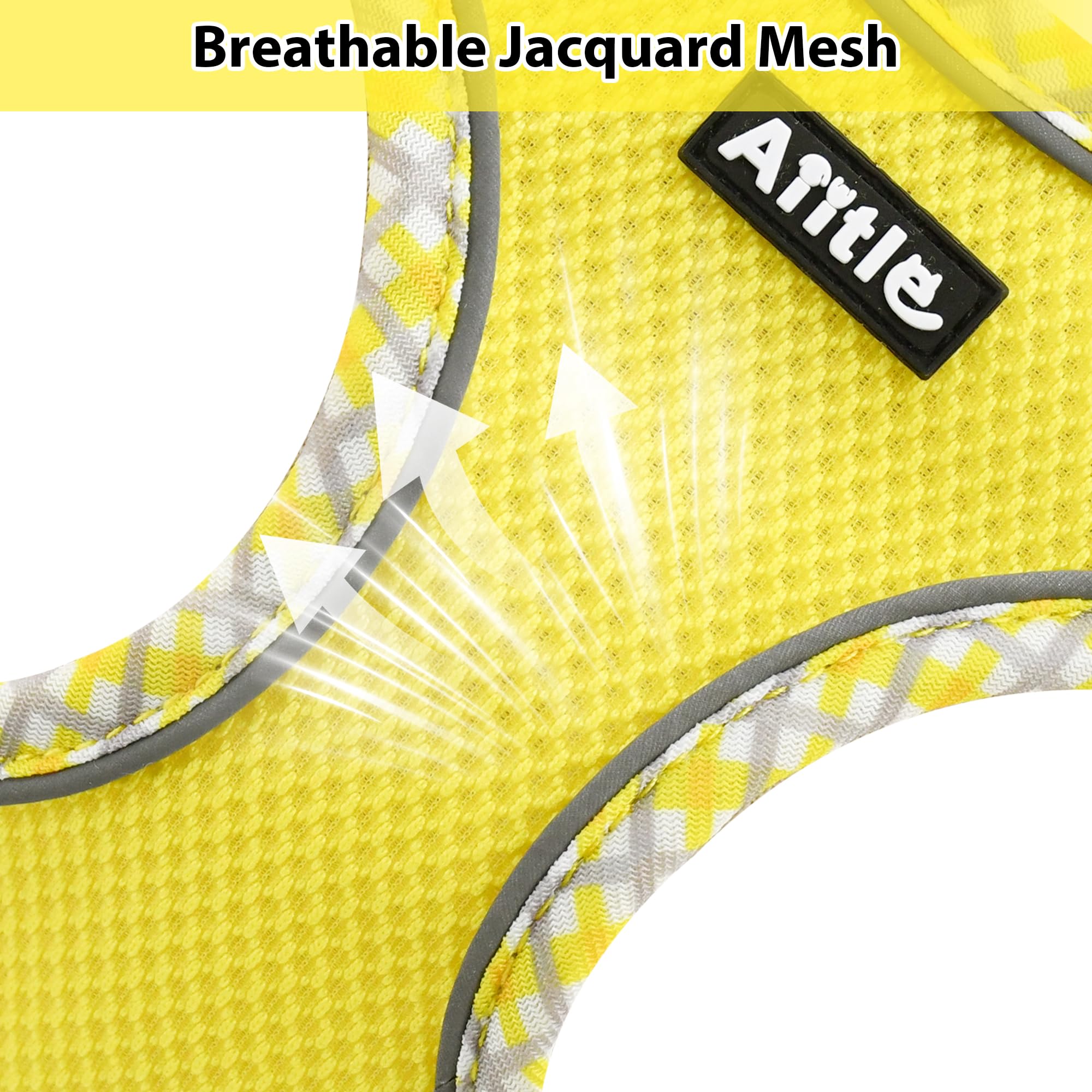 AIITLE Dog Harness and Leash Set - Ultra-Comfortable XXS-XL Vest with Strong Magic Tape & Glow-in-Dark Reflective Strips, Chafe-