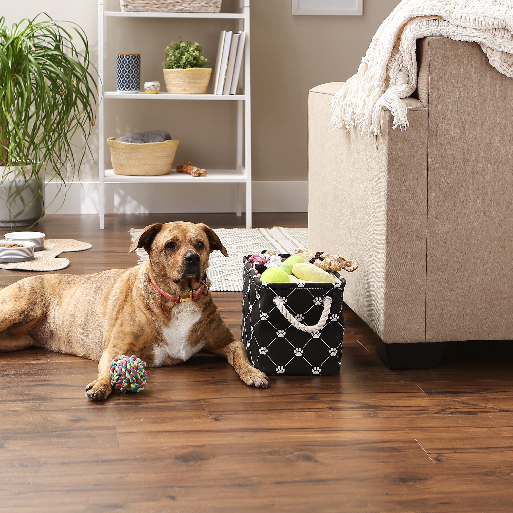 Bone Dry Pet Storage Collection Paw and Bone Print, Small Rectangle, 14x8x9, Black Trellis