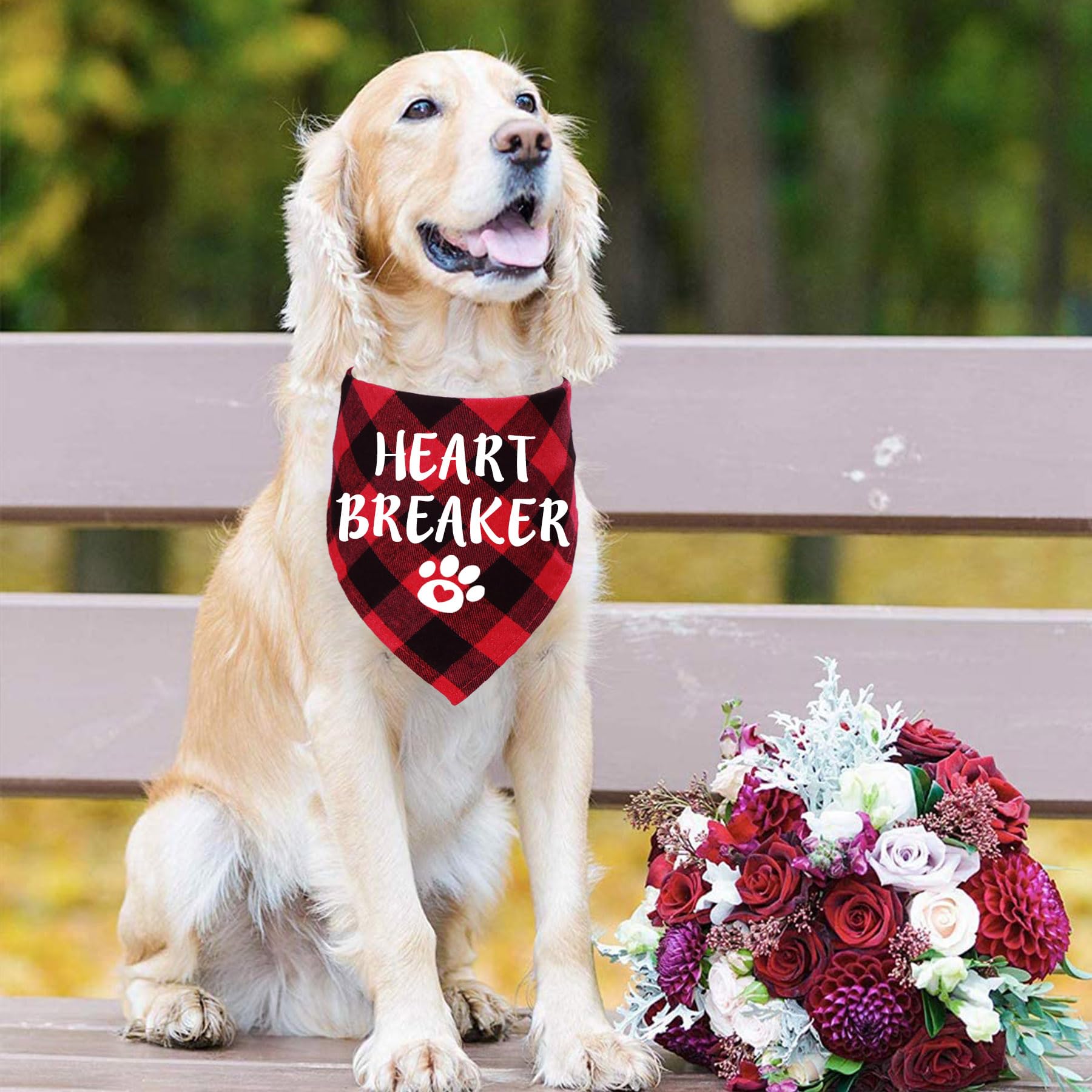 Stmk 2 Pack Valentine'S Day Dog Bandanas - Large, Free Kisses & Heart Breaker