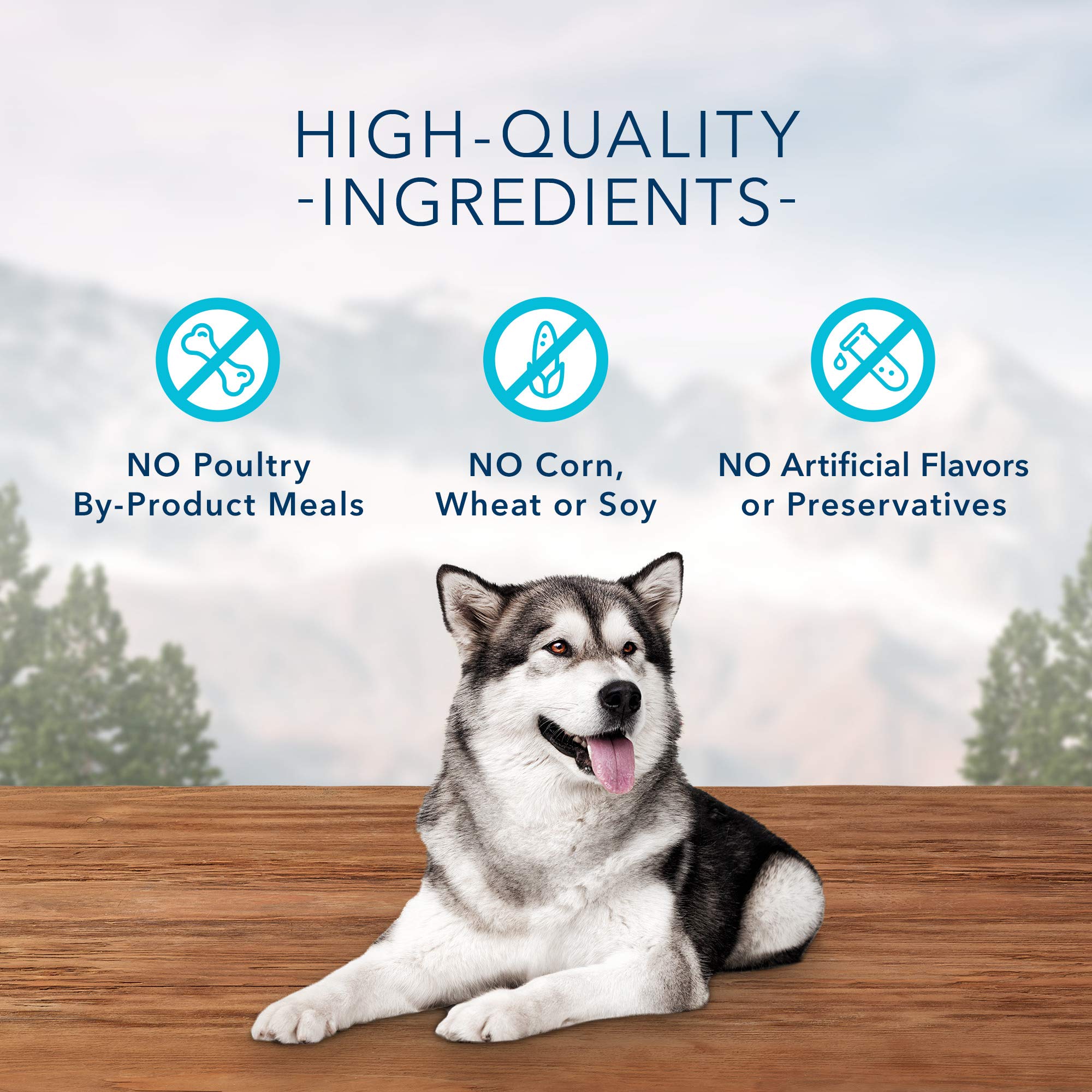 Blue Buffalo Wilderness Trail Treats High Protein Grain Free Dog Biscuits Crunchy Dog Treats, Duck Recipe, 24-oz Bag
