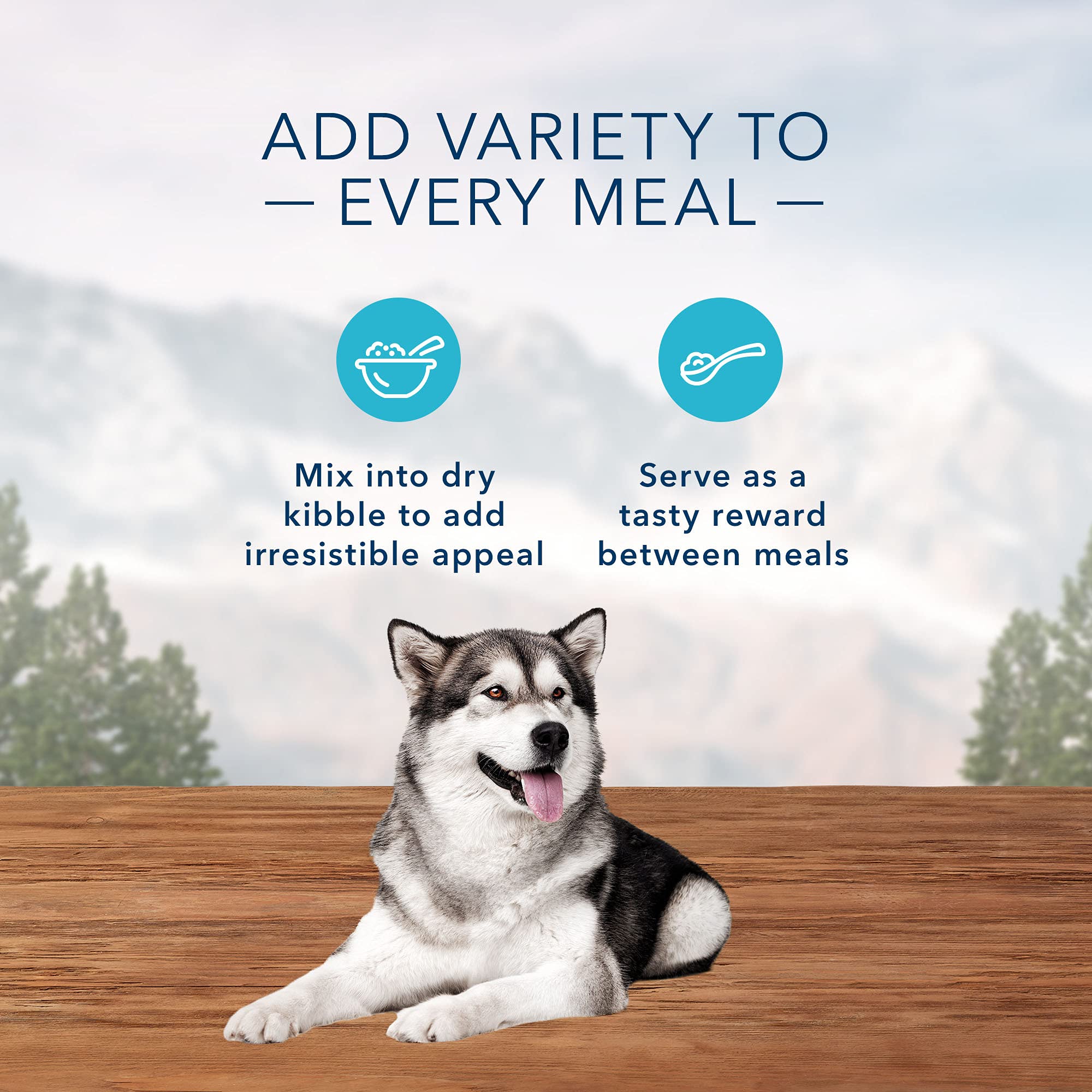 Blue Buffalo Wilderness Trail Toppers Wild Cuts High Protein, Natural Wet Dog Food Variety Pack, Beef, Salmon, Duck & Chicken, 3