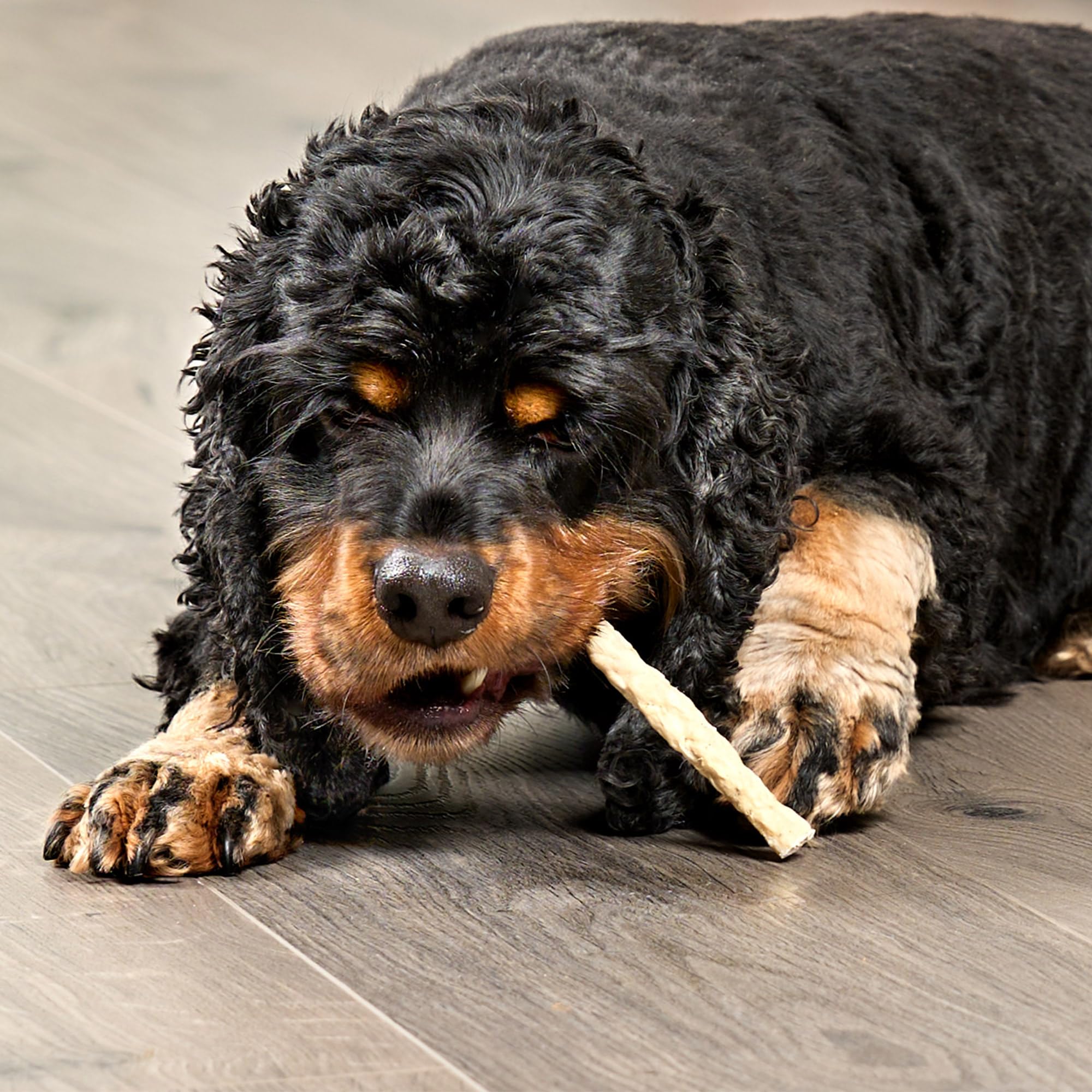 Treatly Beefhide Munchy Sticks 5 Dog Chew Treats - Natural Flavor, 40 Count/1 Pack