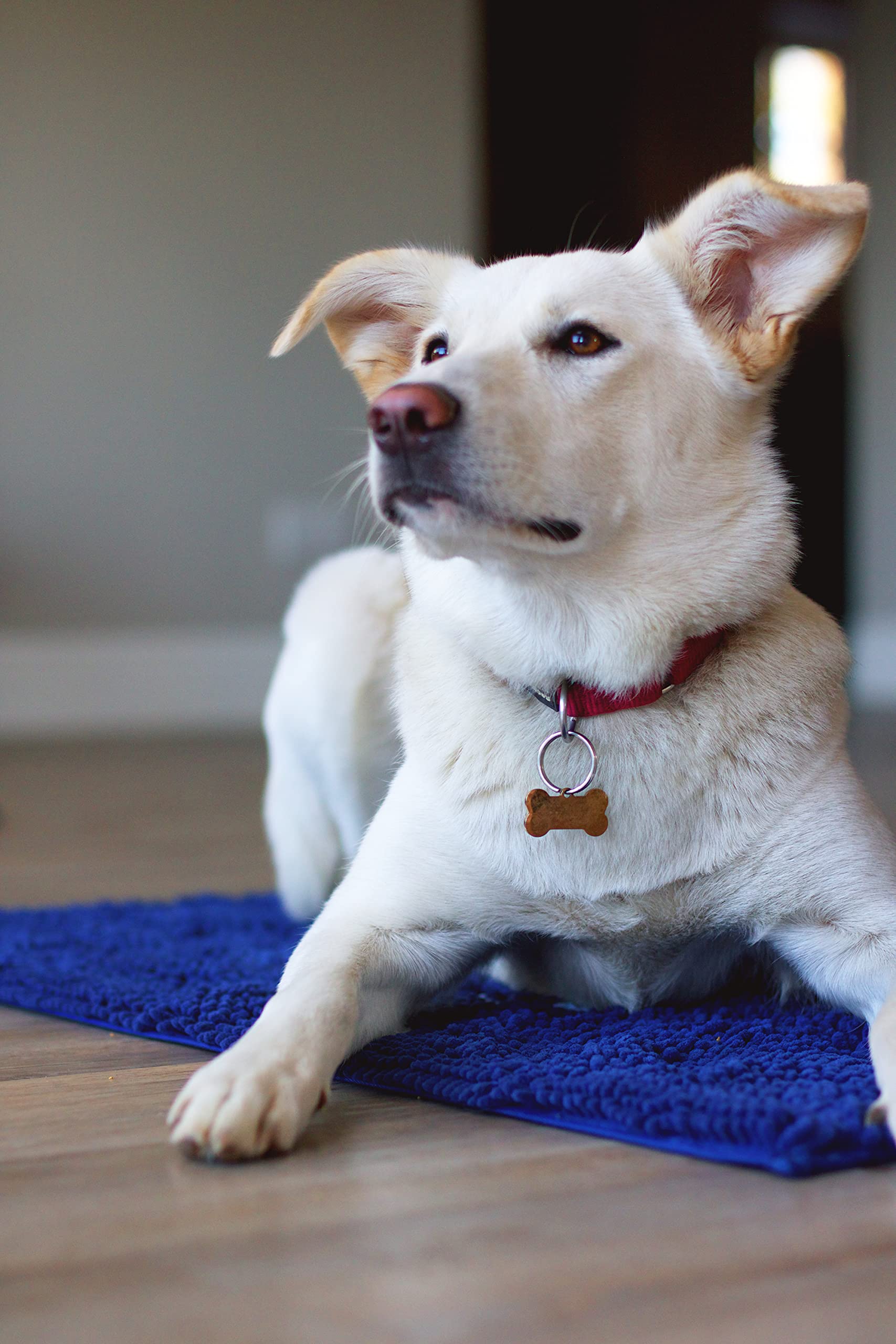 Dog Gone Smart Dirty Dog Doormat - Fast Drying Rug with Super Gripper Backing for Clean Floors - Super Absorbent and Machine Was