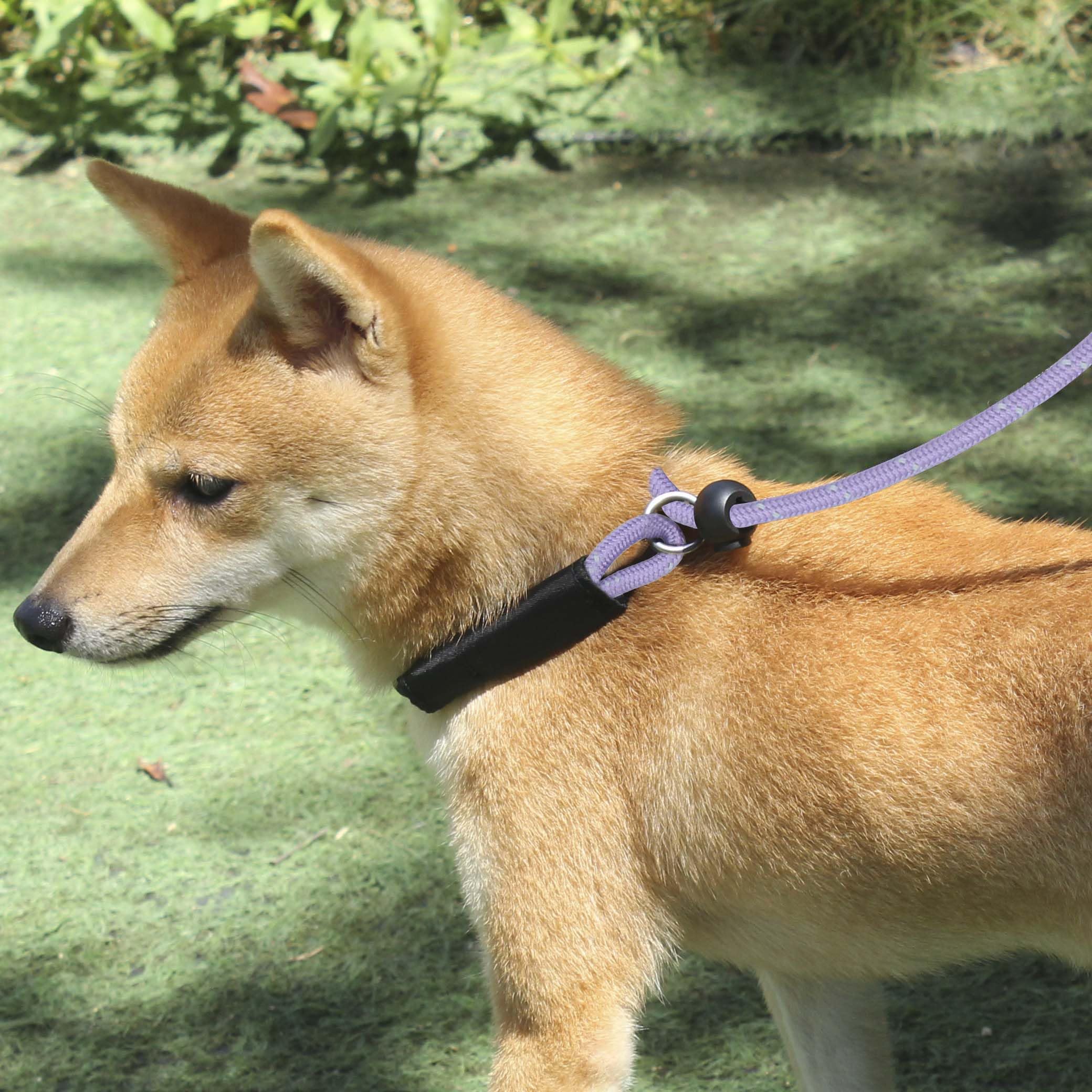 Hiado Slip Lead Dog Leash Reflective Soft With Stopper Loop Rope Training No Pull For Small Medium Dogs 6Ft Lavender