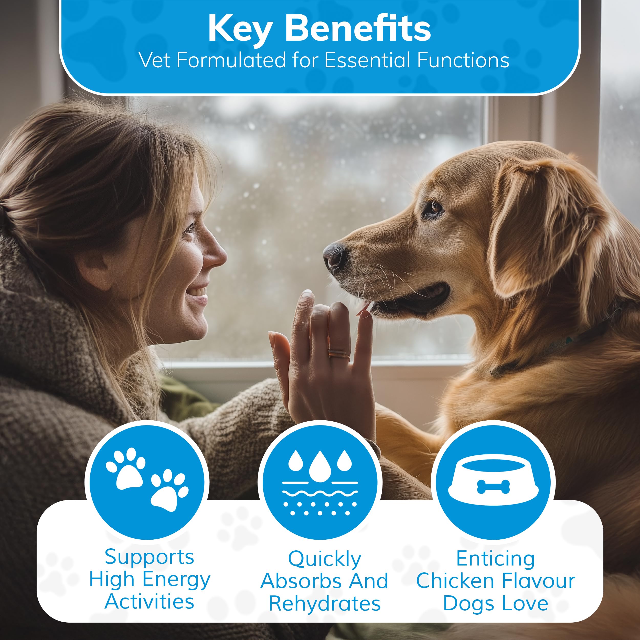 Replenish Dog Recovery Water Supplement - Dog Rehydration Liquid & Powder Alternative to Dog Electrolytes - Electrolytes for Dog