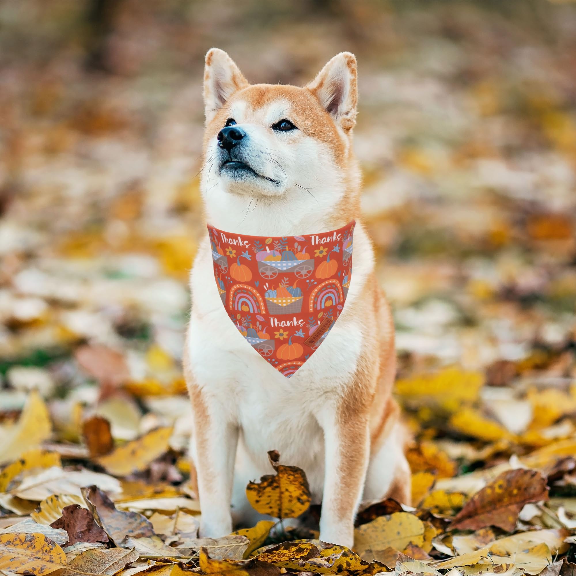 ADOGGYGO Thanksgiving Dog Bandana - Blue Orange Pumpkin Scarf, Adjustable Fit Fall Bandanas for Medium Large Dogs Pets (Large)