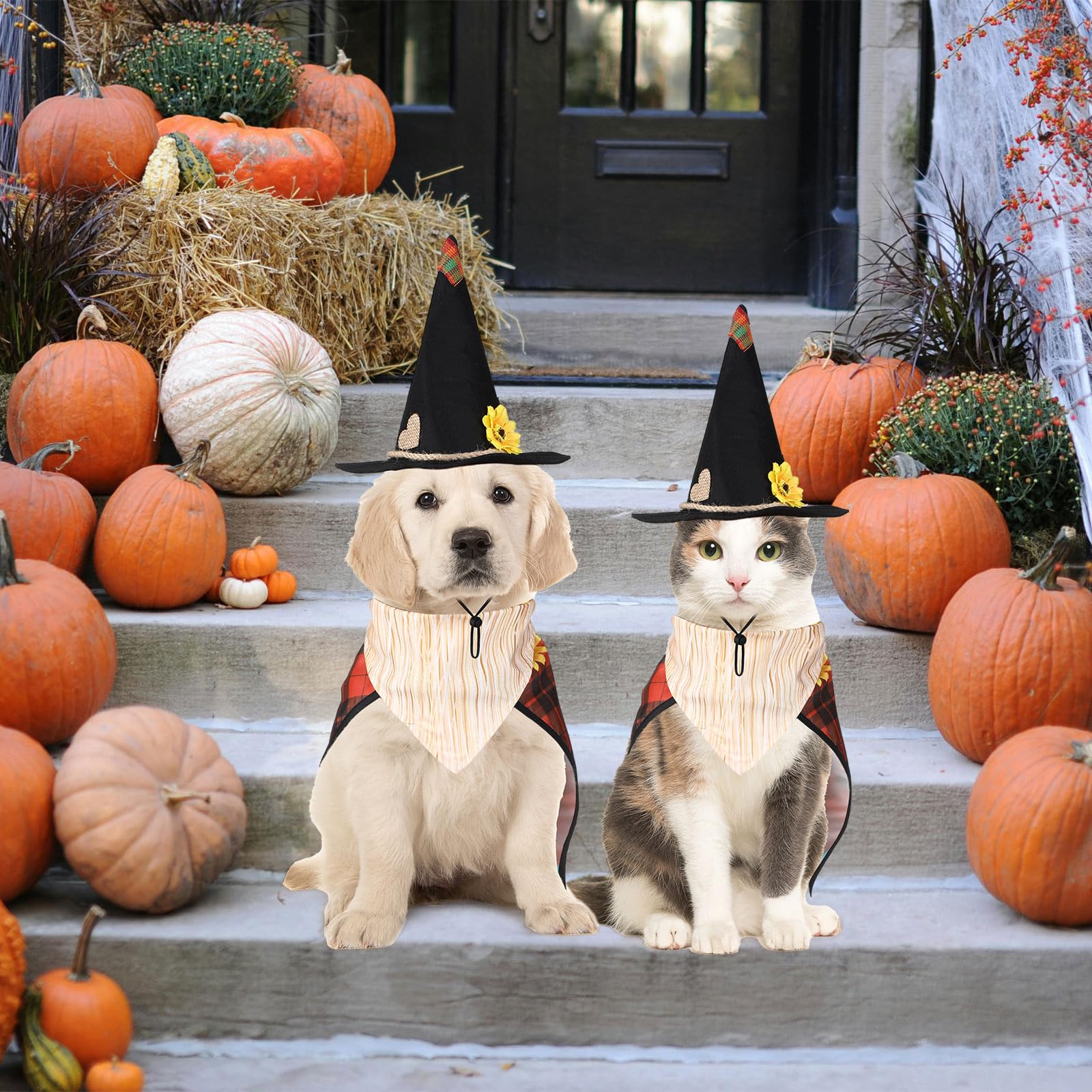 Sunnymove 3 Pcs Dog Halloween Costume Set Includes 1 Scarecrow Hat, 1 Straw Dog Bandana, 1 Puppy Cape Halloween Pet Role-Play Ou