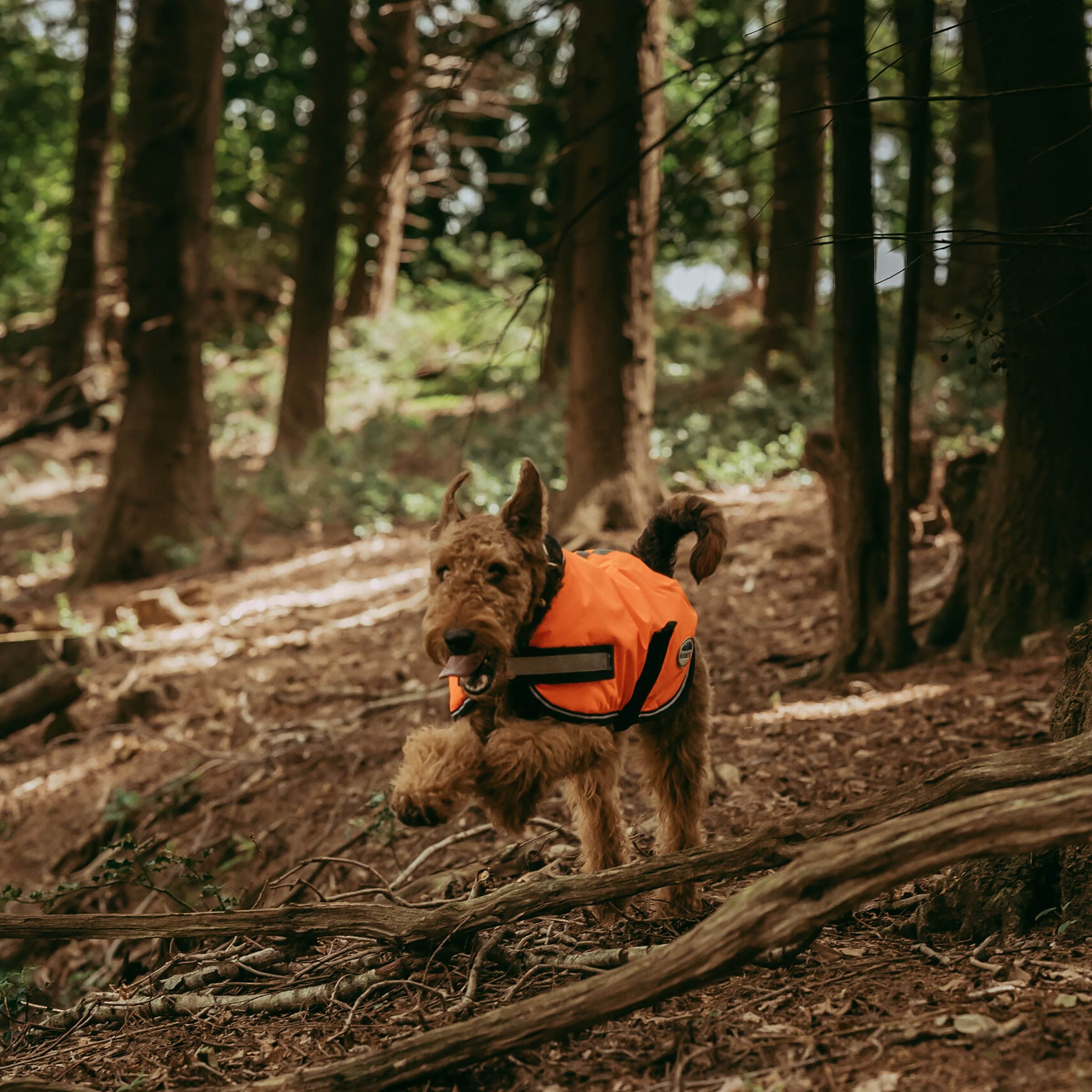 Weatherbeeta Comfitec Reflective Parka 300D Dog Coat, Orange, 26'