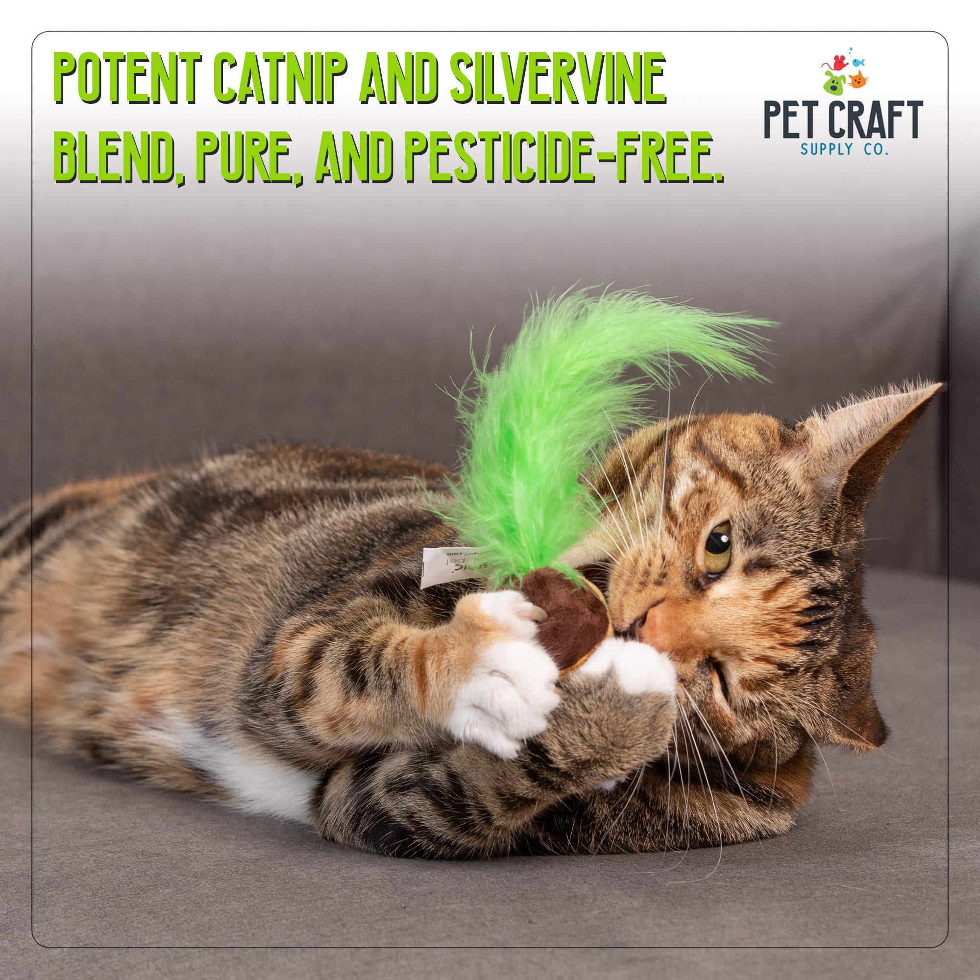 Pet Craft Supply Silly Snacks and Funny Food Crinkle Cuddling Catnip and Silvervine Interactive Cat Toys - Great for Indoor Cats