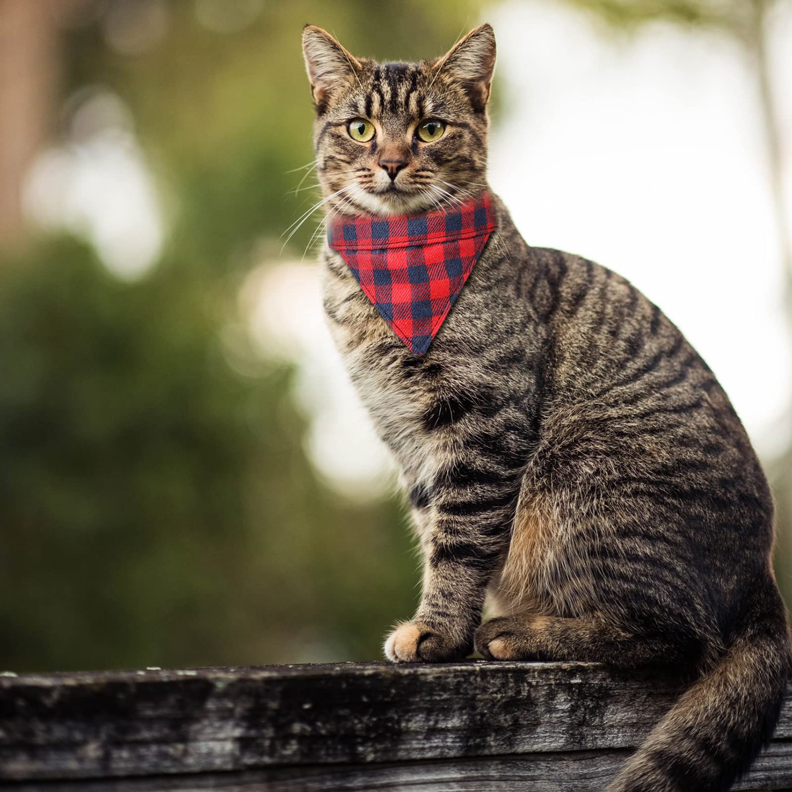 Imikoko 2 Pack of Bow Tie Cat Collar Bandana, Size Adjustable Plaid Cat Collars with Breakaway Bell - for Kitty Cats Puppy Dogs