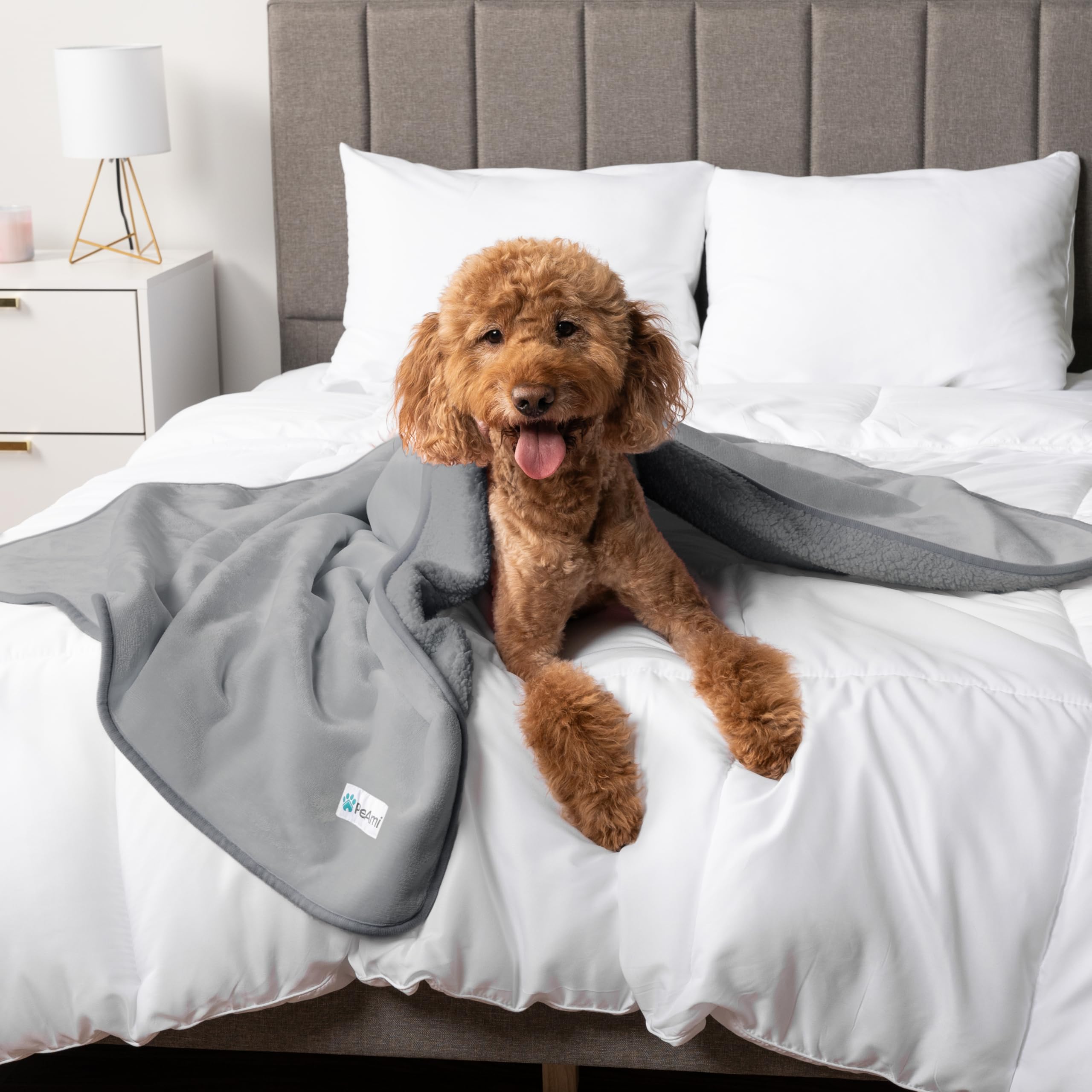 Petami Waterproof Dog Blanket For Extra Large Dogs, Pee Proof Pet Blanket For Bed Couch, Reversible Water Proof Blanket For Puppy Indoor Cat, Soft Dog Crate Cover Washable, Queen 90X90 Light Gray