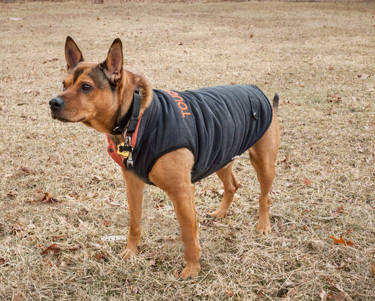 TOUCHDOG 'Waggin Swag' Fashion Designer Reversible 3M Insulated Pet Dog Coat Jacket, X-Small, Brown / Orange