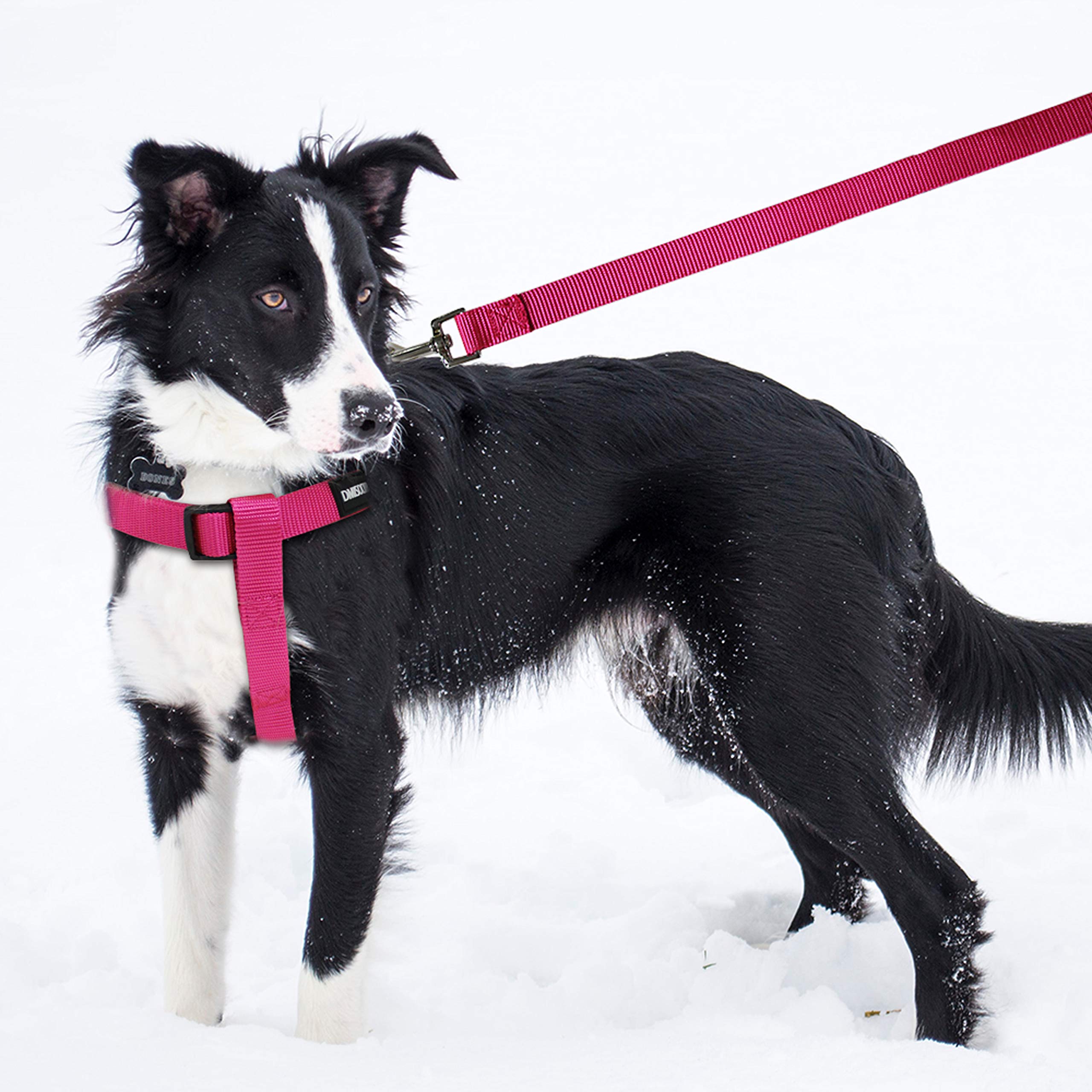 No Pull Dog Harness - Adjustable Step-In Harness & Leash Set For Small, Medium, Large Dogs - Escape Proof Soft Pet Harness For W