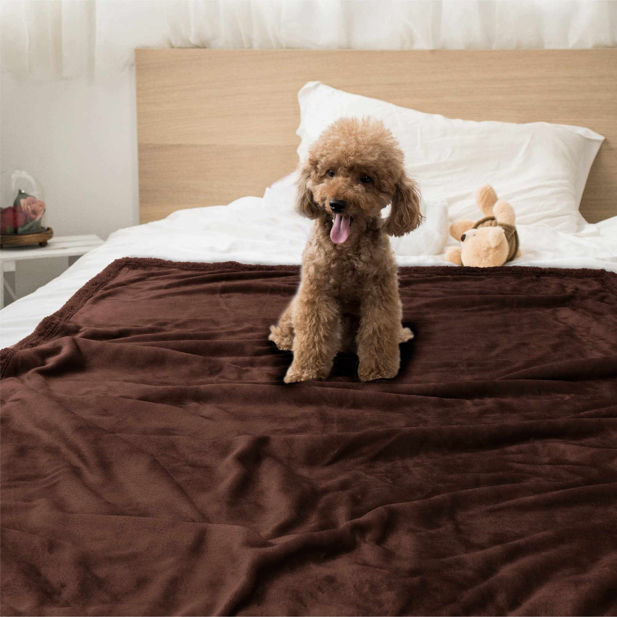Petami Waterproof Dog Blanket For Bed, Xl Dog Pet Blanket Couch Cover Protection, Sherpa Fleece Leakproof Bed Blanket For Crate Kennel Sofa Furniture Protector, Reversible Soft Plush 80X60 Brown Brown