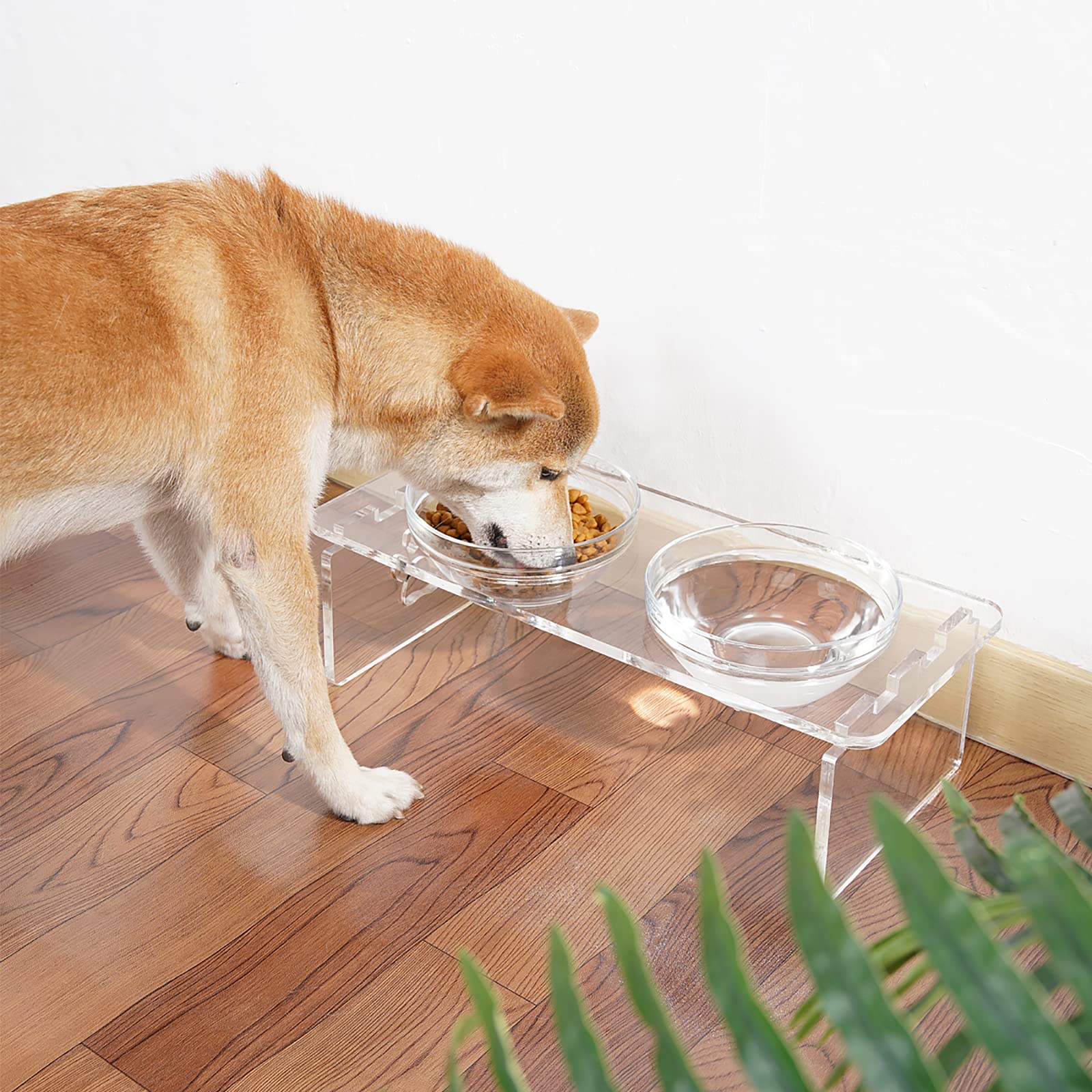 Dog and Cat Bowls Elevated Set - Acrylic Feeder Stand with 2 Set Removable Stainless Steel and Glass Bowls Food and Water Raised