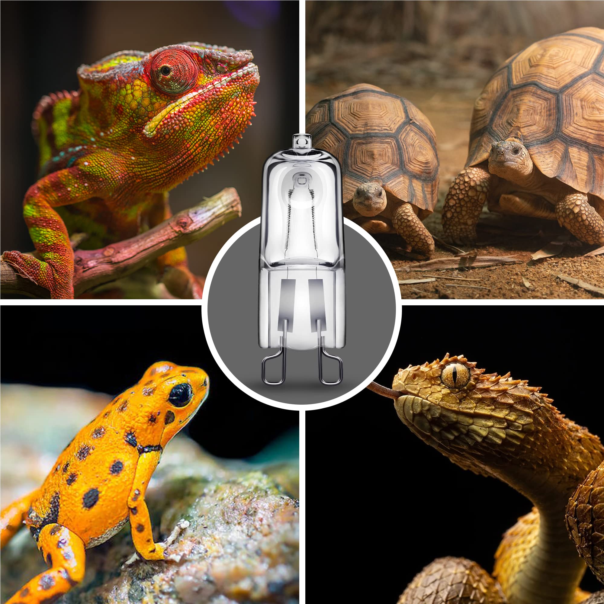 Briignite G9 Heat Lamp Bulbs for Reptiles, Dimmable 50W, 2 Pack, Warm White, Ideal for Bearded Dragons, Geckos, and Turtles
