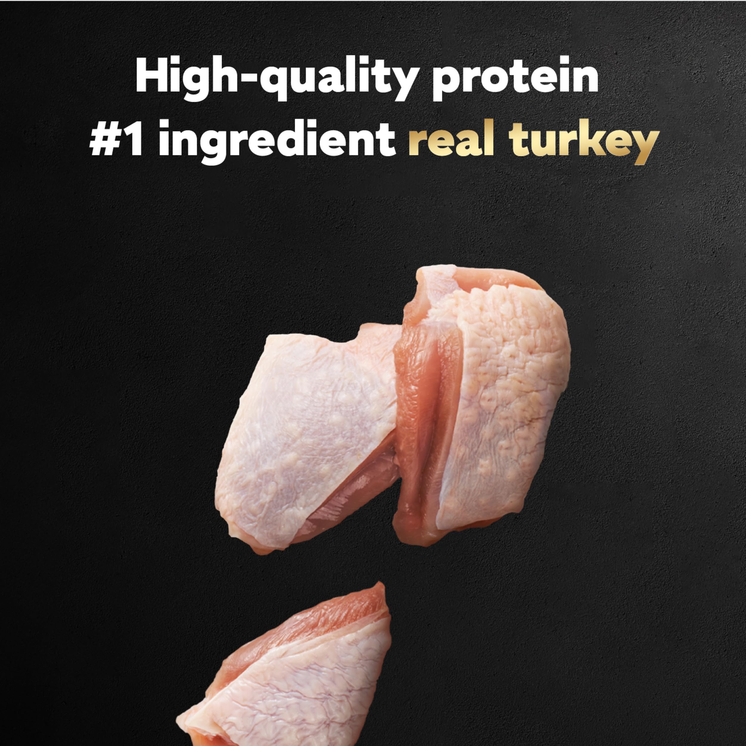 Cesar Filets in Gravy Adult Wet Dog Food, Turkey Recipe, 3.5 oz. (24 Count, Pack of 1)