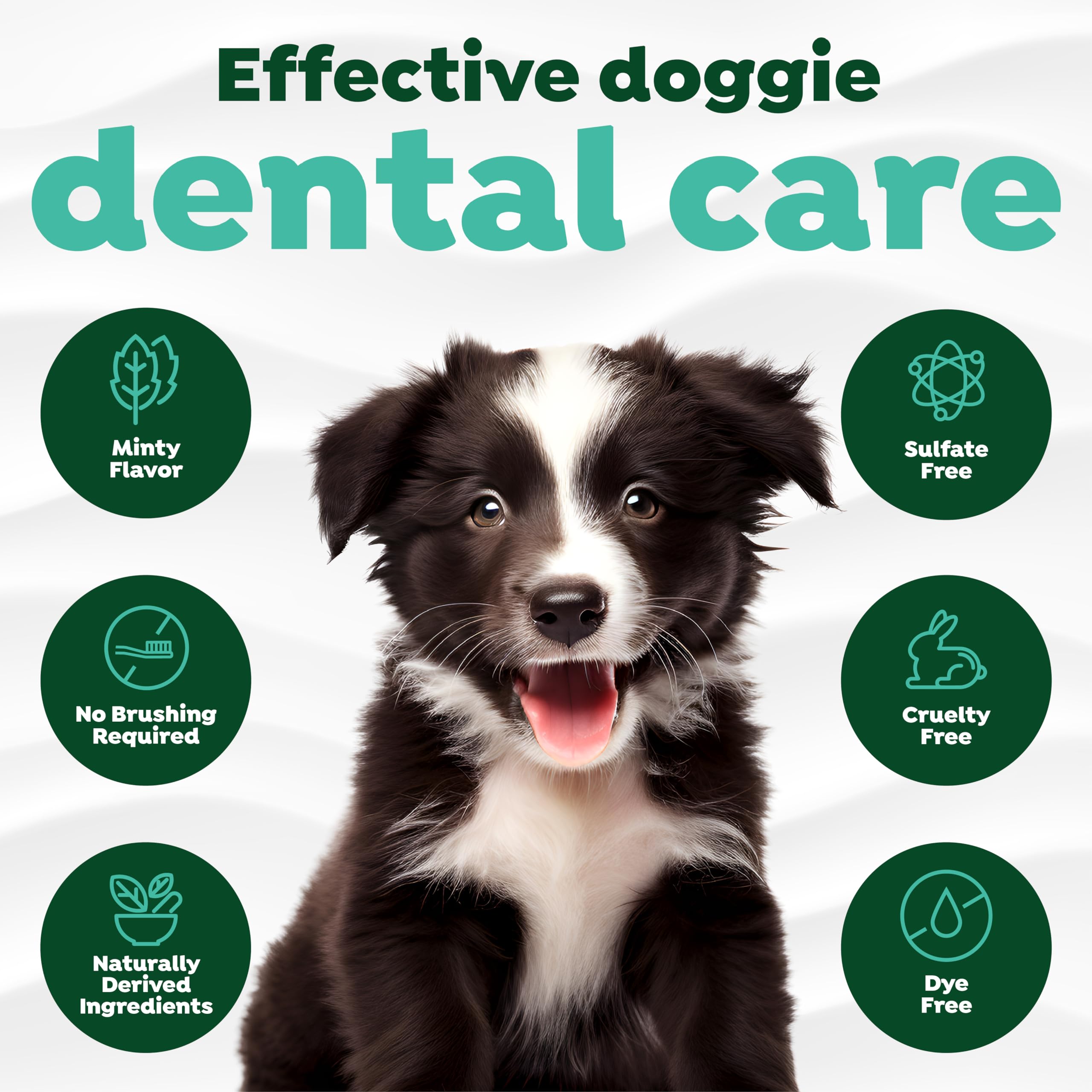 TropiClean Fresh Breath Dog Toothpaste for Teeth Cleaning, Breath Freshener, Easy to Use Plaque & Tartar Remover Gel, No Toothbr