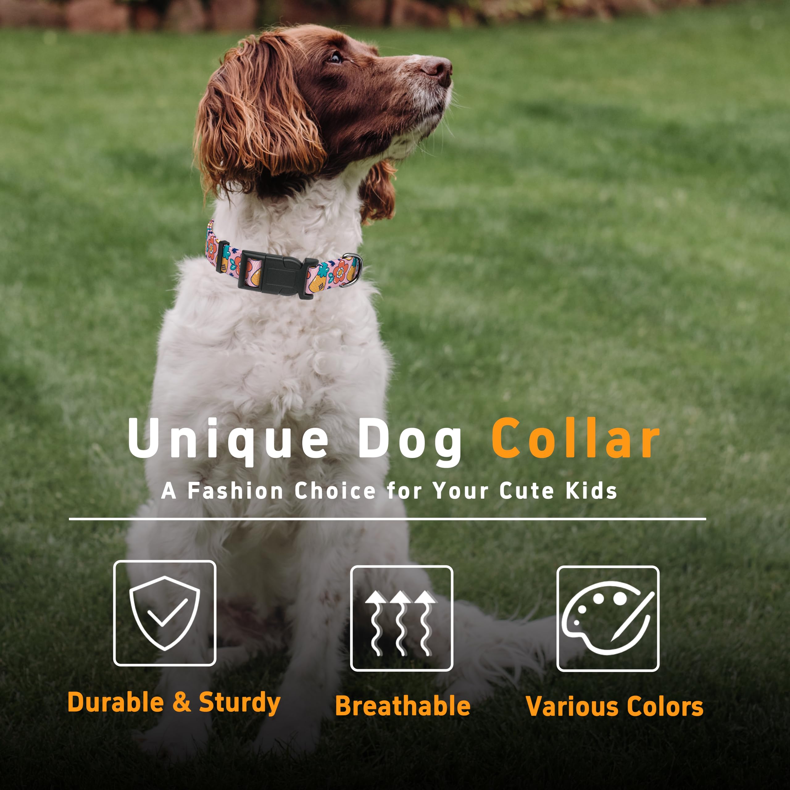 Seyezo Dog Collar, Cute Cartoon Fruit Boys Girls Puppy Collar For Small Medium Large Dogs, Adjustable Soft Pet Collar With Safet