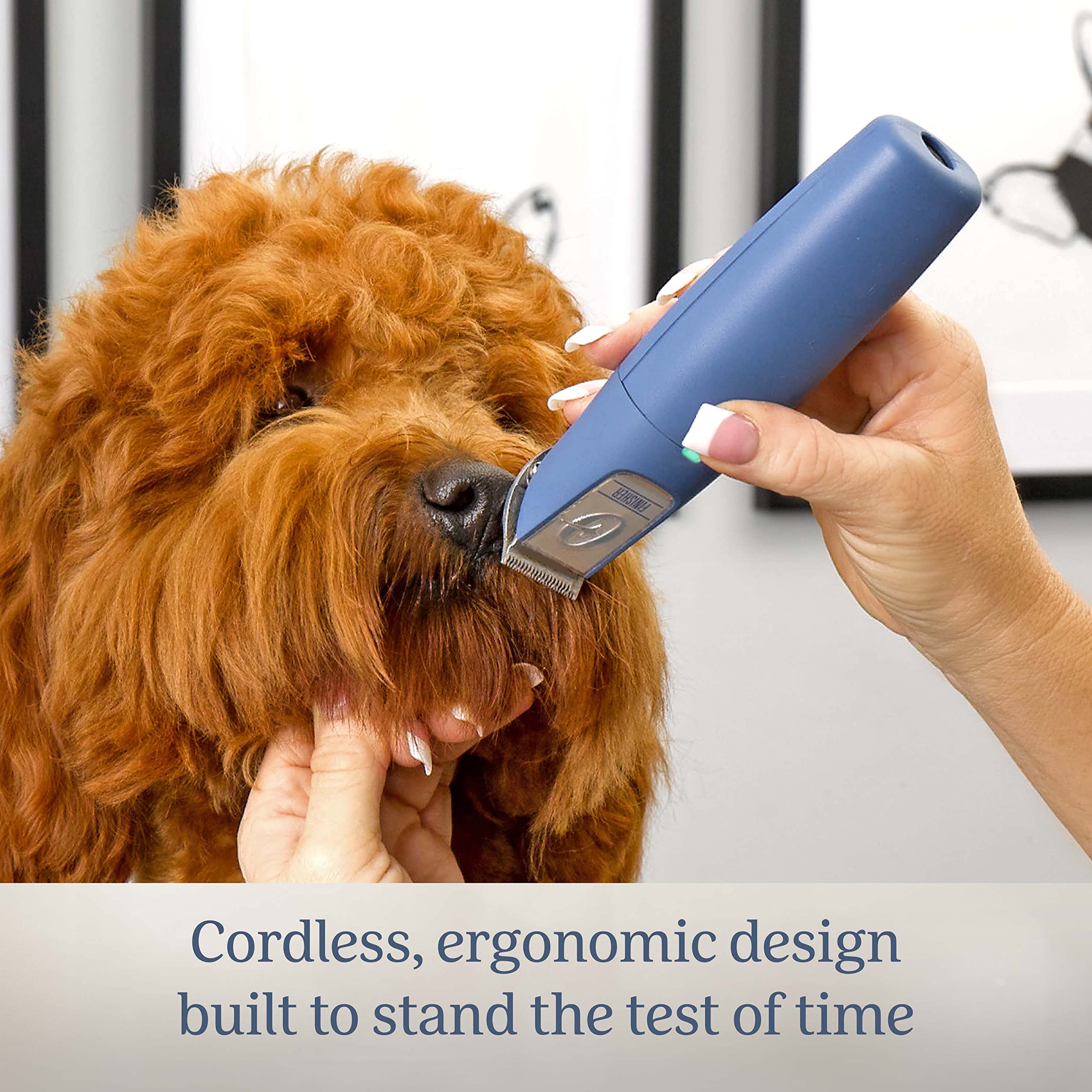 Oster Professional Cordless Animal Trimmer, Rechargeable Battery, Blue, Model 2143909, Stainless Steel